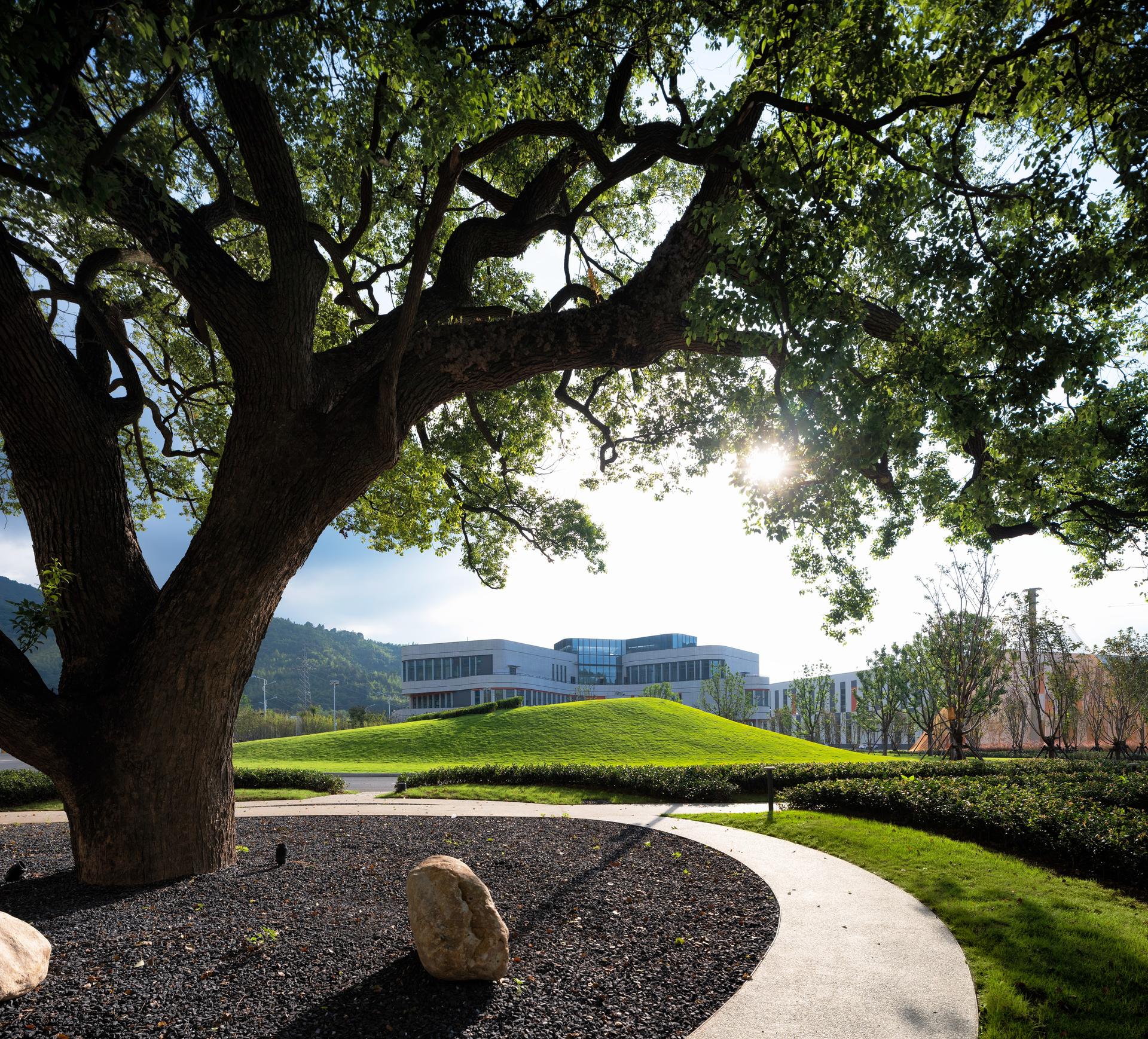 Longking Pro-Environmental Campus - image 6
