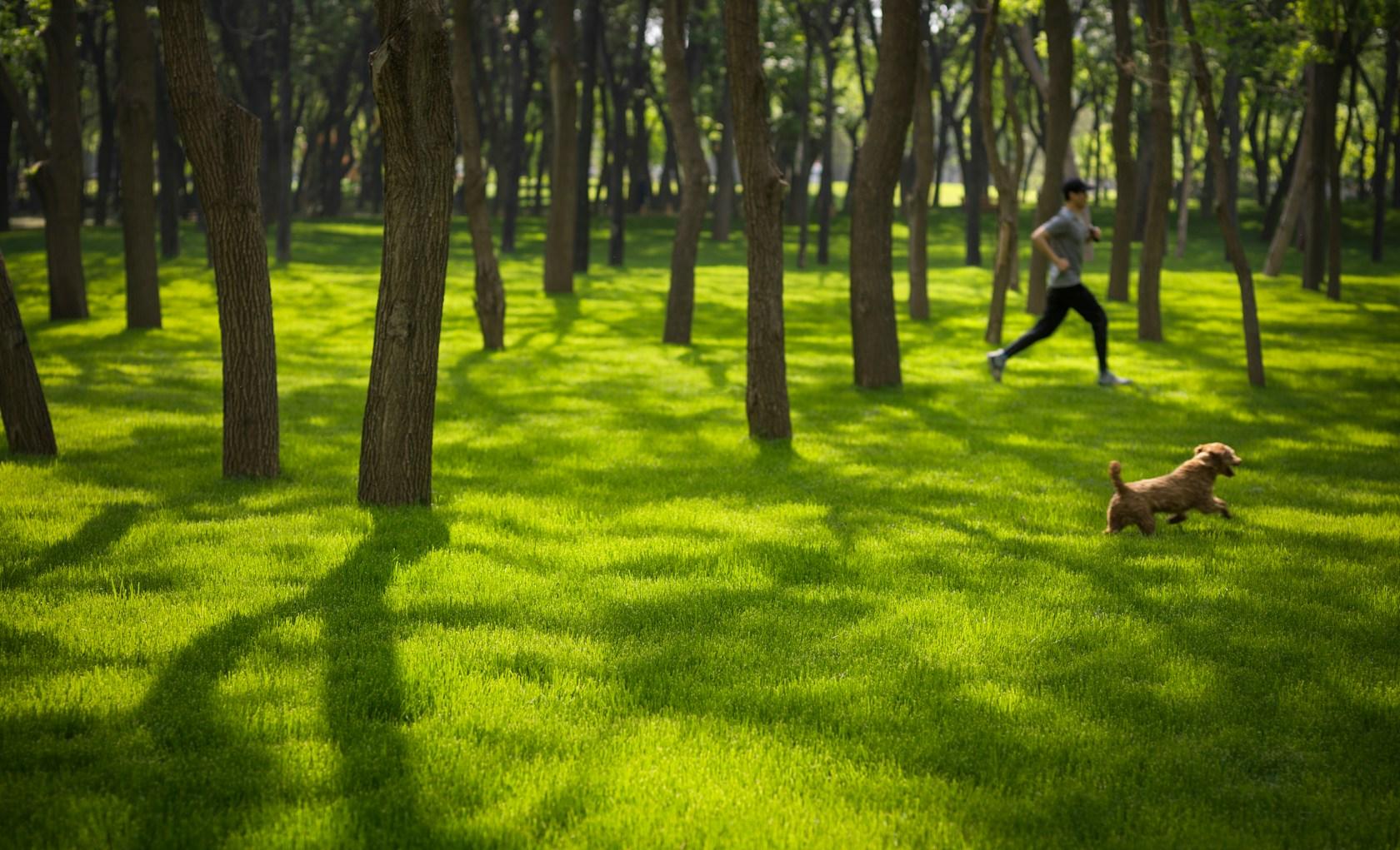 MAHA Residential Park - image 2
