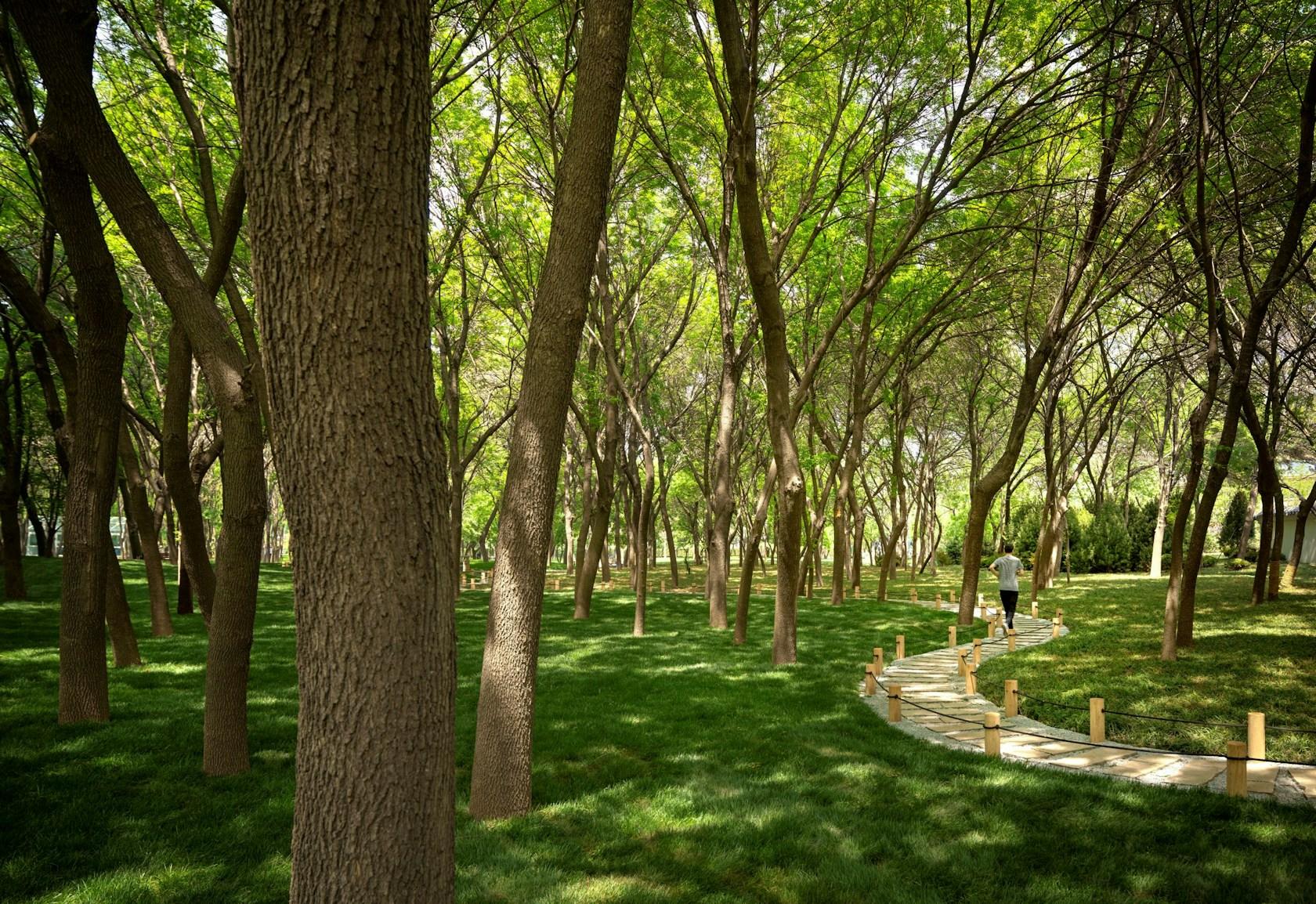 MAHA Residential Park - image 4