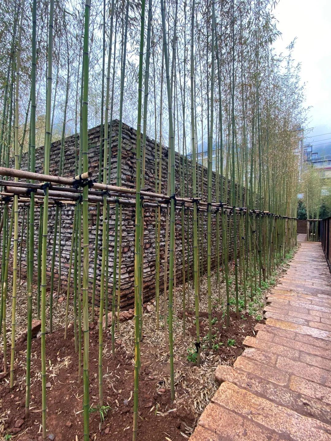 Eight Types in Rural Construction_Rural Construction on Renovation of Yunnan Dazhixianxian B&B - image 97