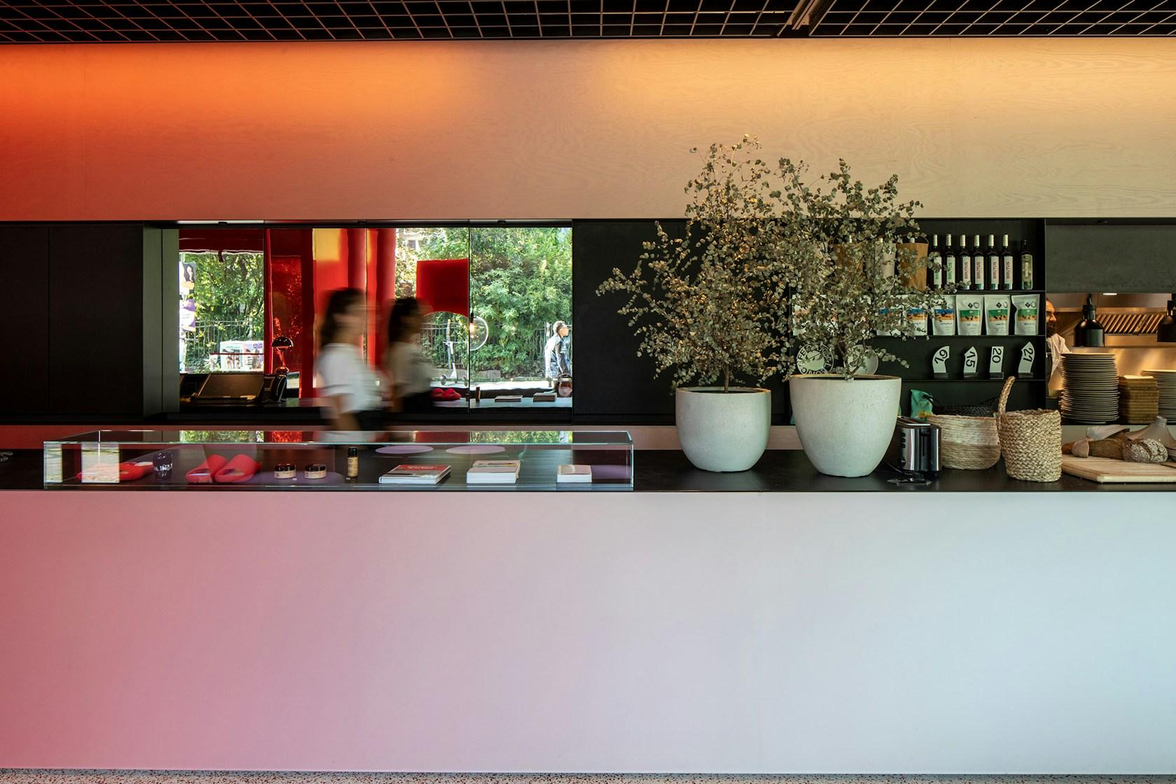 Café Camaleón - image 8