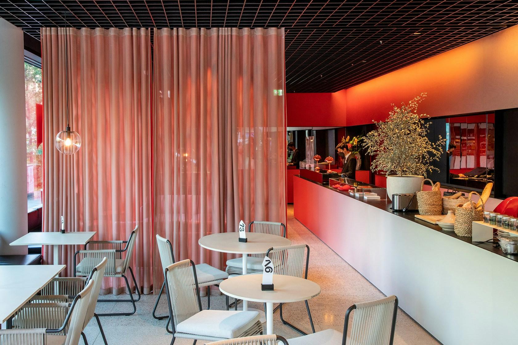 Café Camaleón - image 5