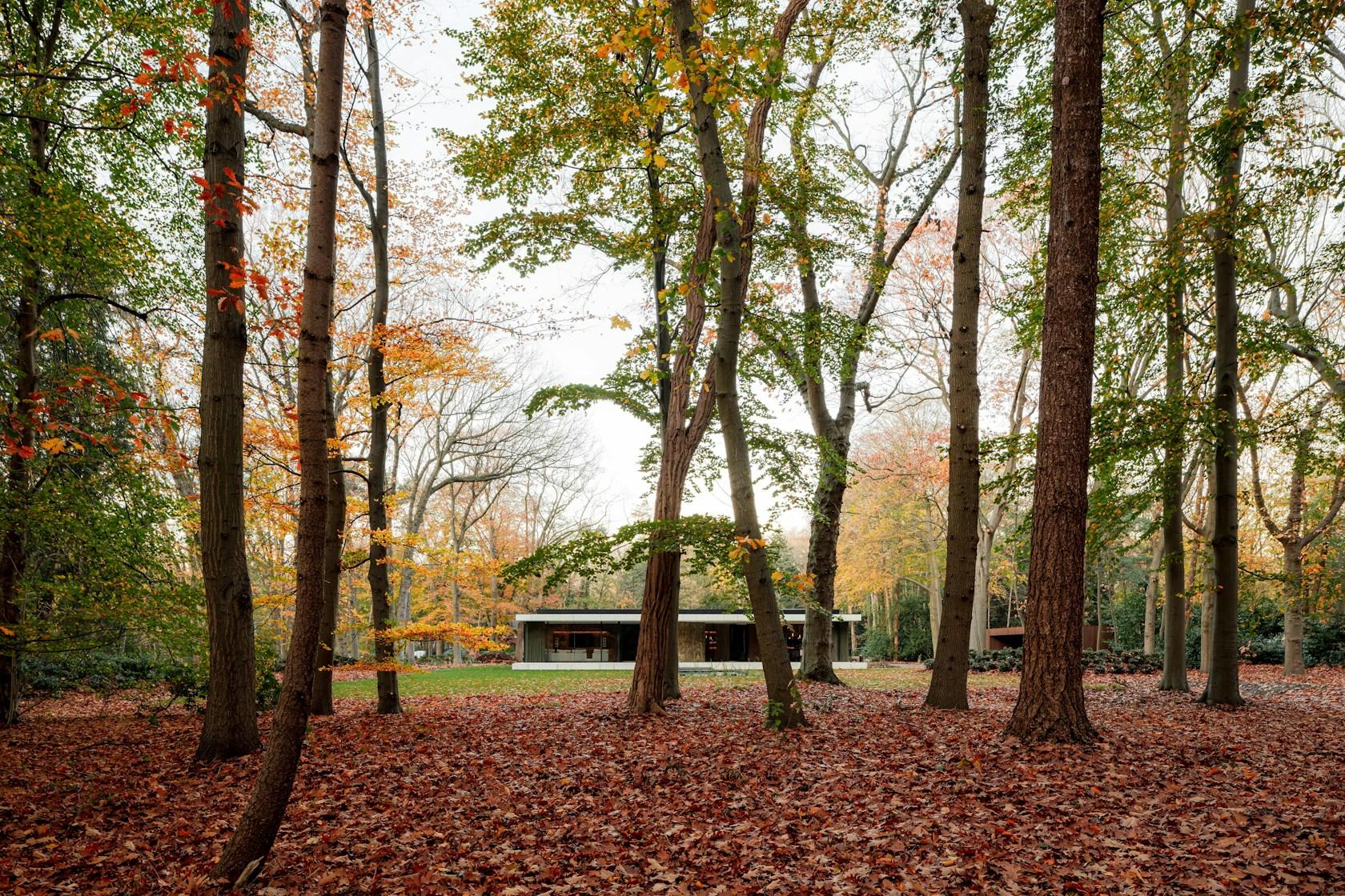 Villa JM - image 25