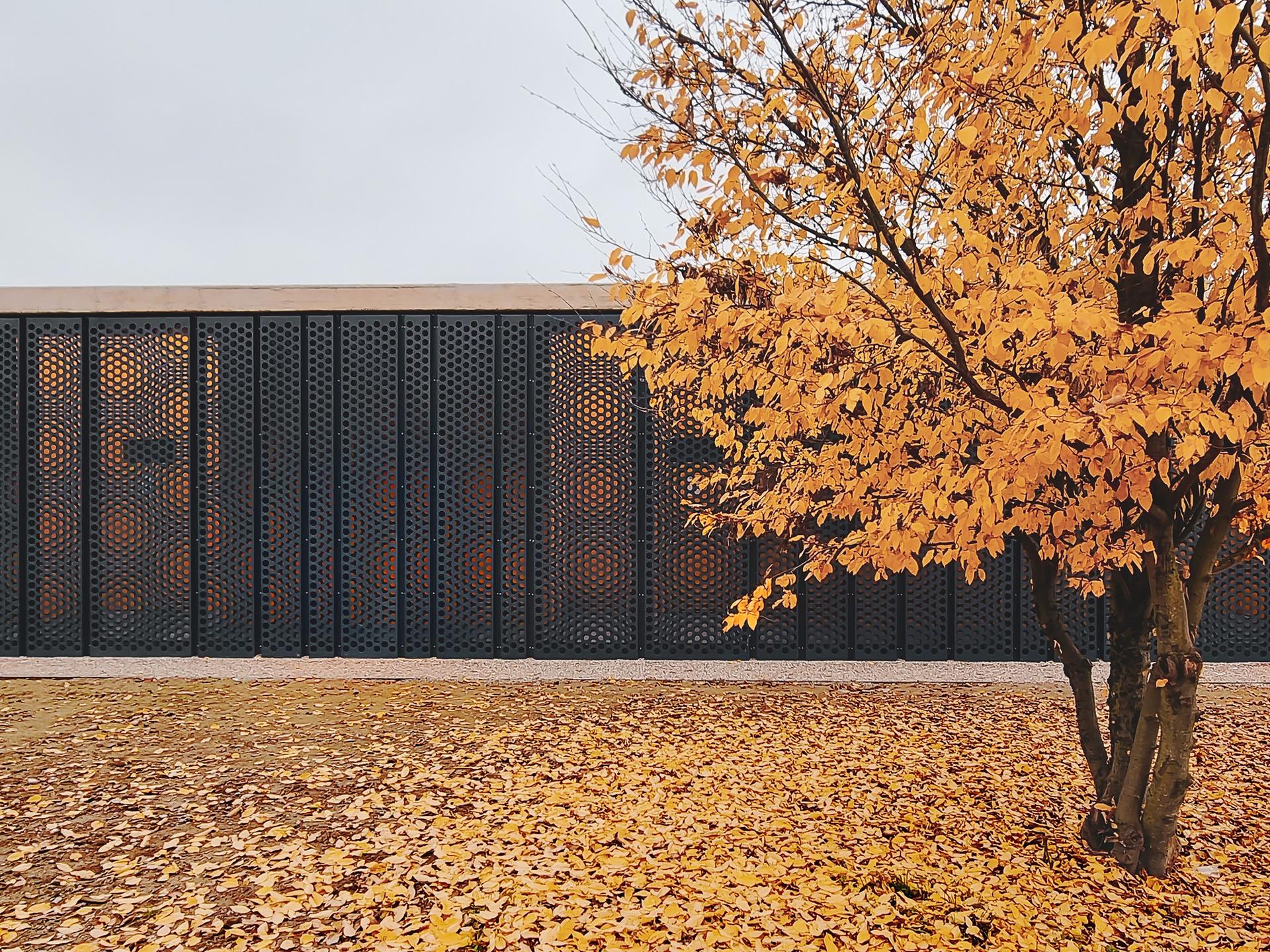 Sports Centre in Rozzano - image 5
