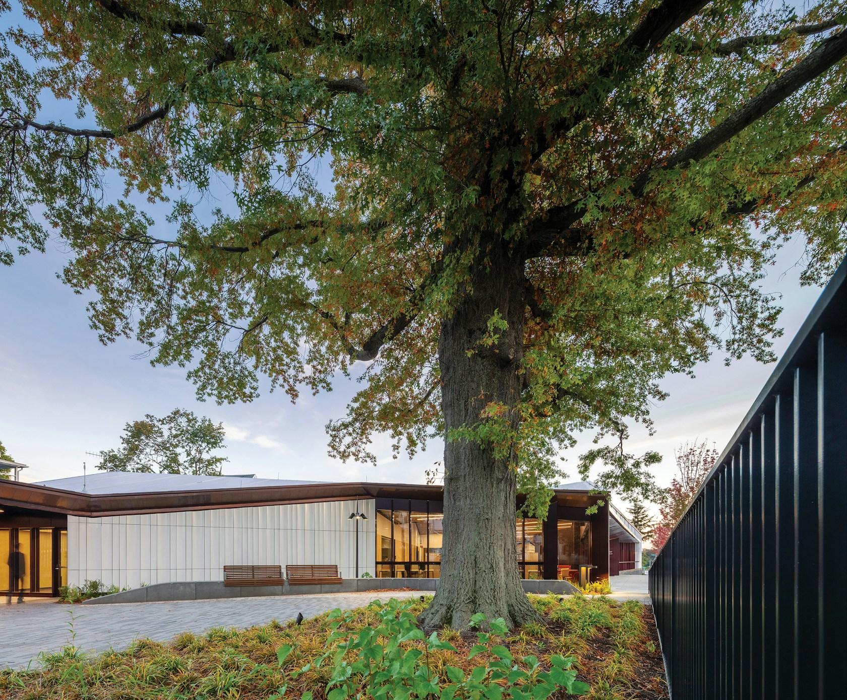 Adams Street Branch Library - image 9