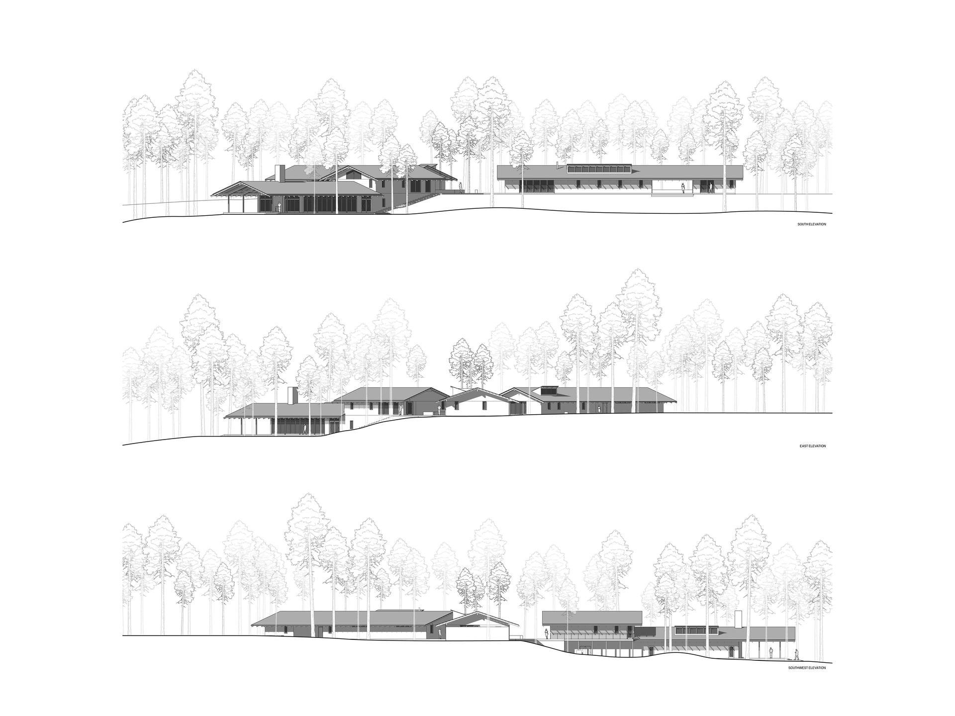The Tree Farm - image 6