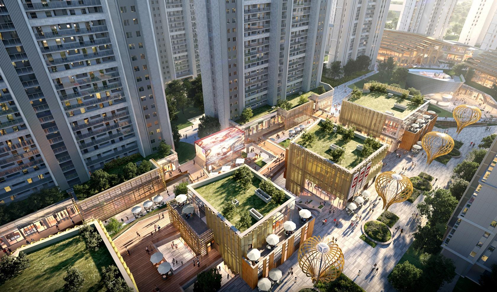 Zhiyu · Future - image 9