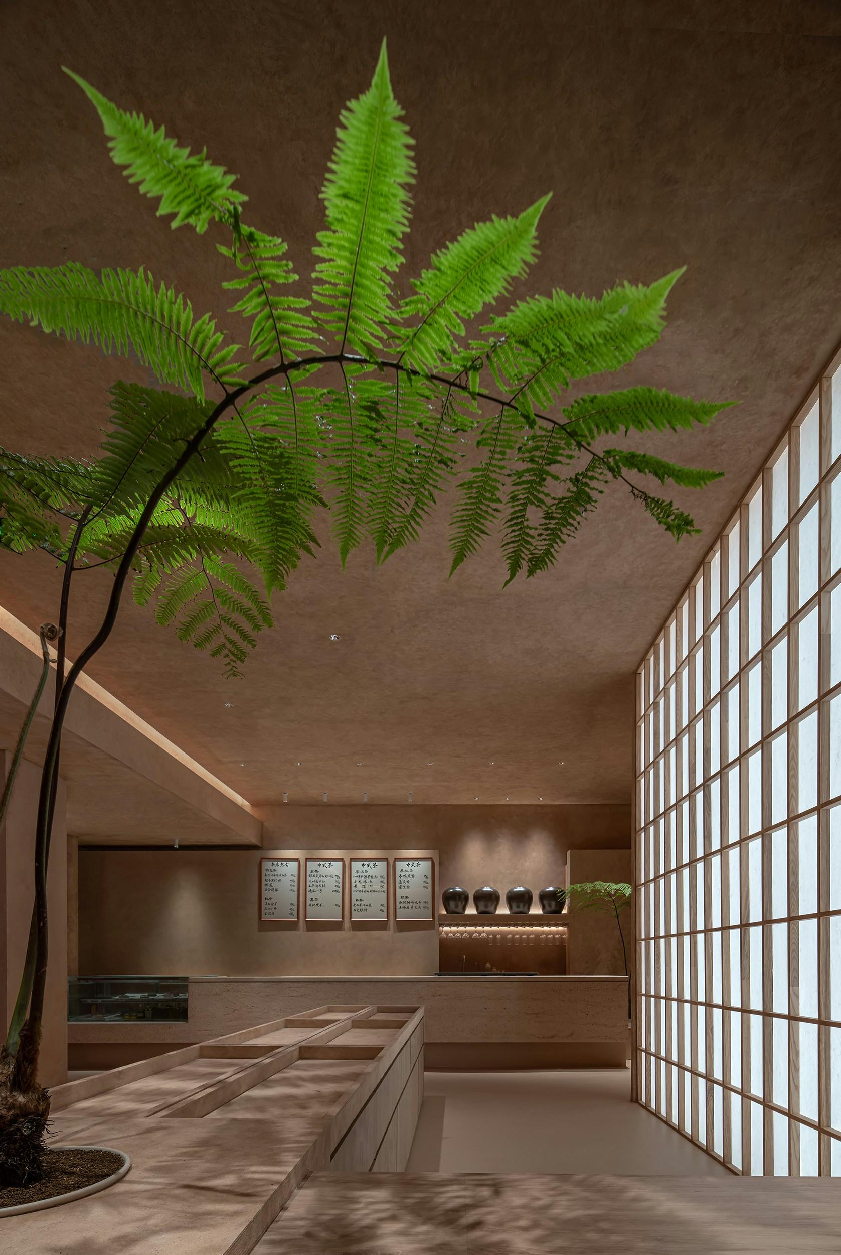 Restaurants TeaBox - image 5