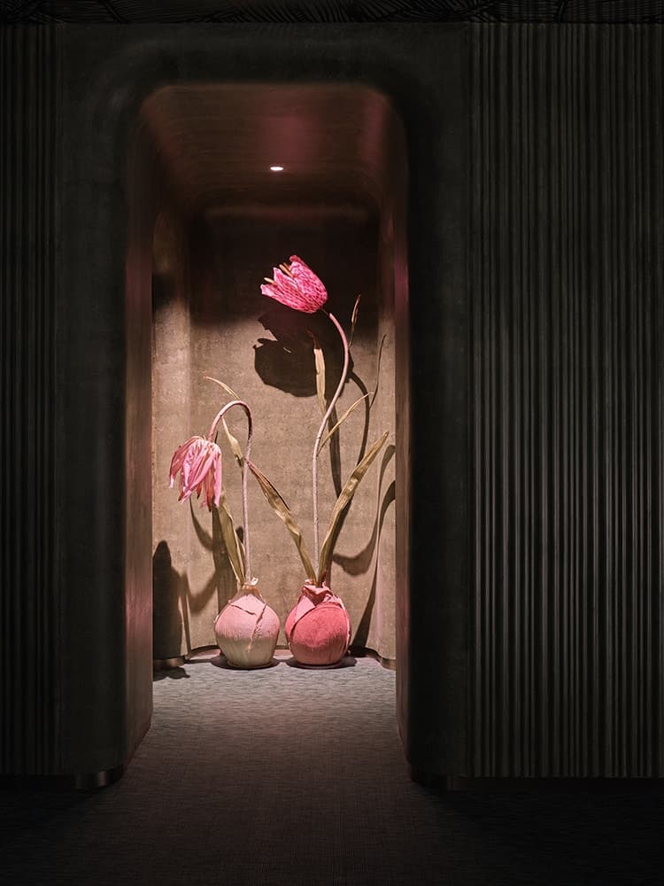 ‘green massage’ Shanghai Madang Road store - image 17