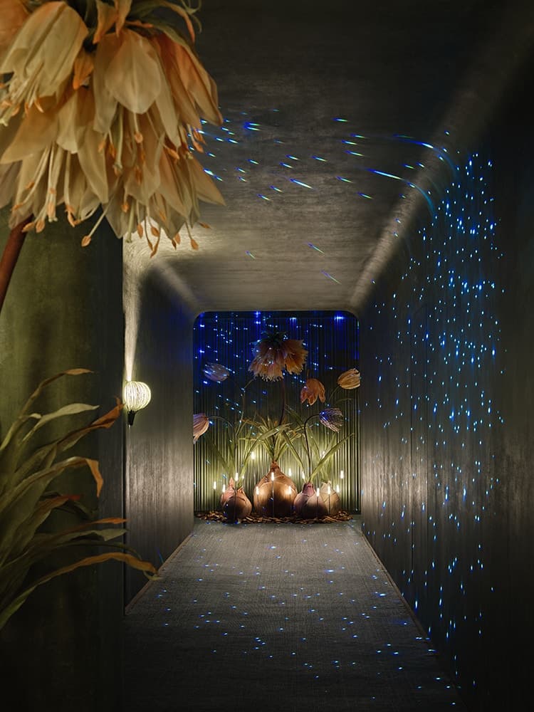 ‘green massage’ Shanghai Madang Road store - image 10