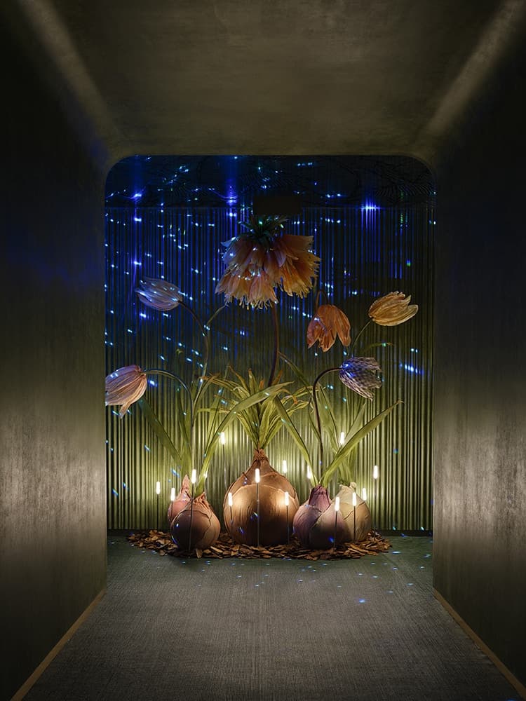‘green massage’ Shanghai Madang Road store - image 8
