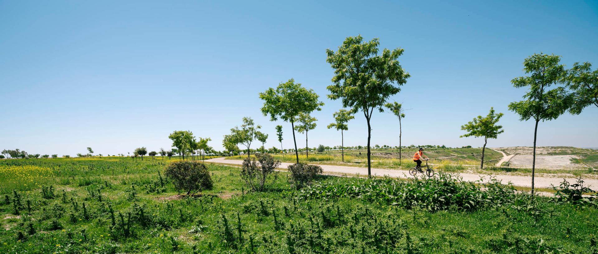 Valdemingomez Forest Park. Landscape Restoration of Valdemingomez Waste Landfill - image 8