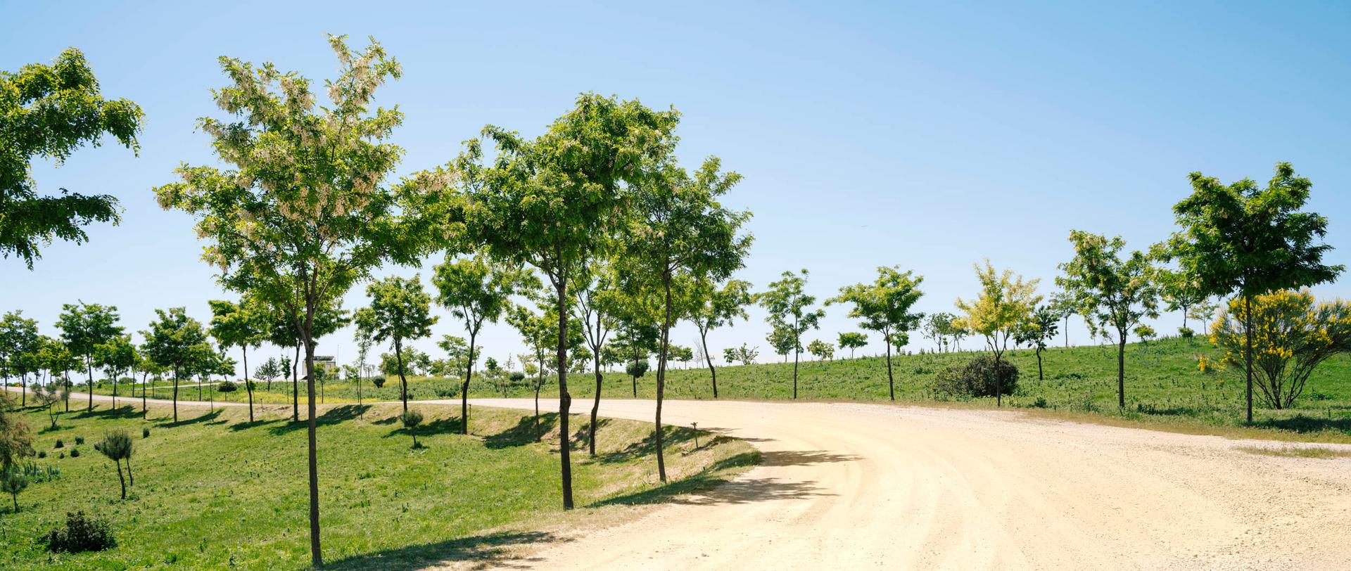 Valdemingomez Forest Park. Landscape Restoration of Valdemingomez Waste Landfill - image 9