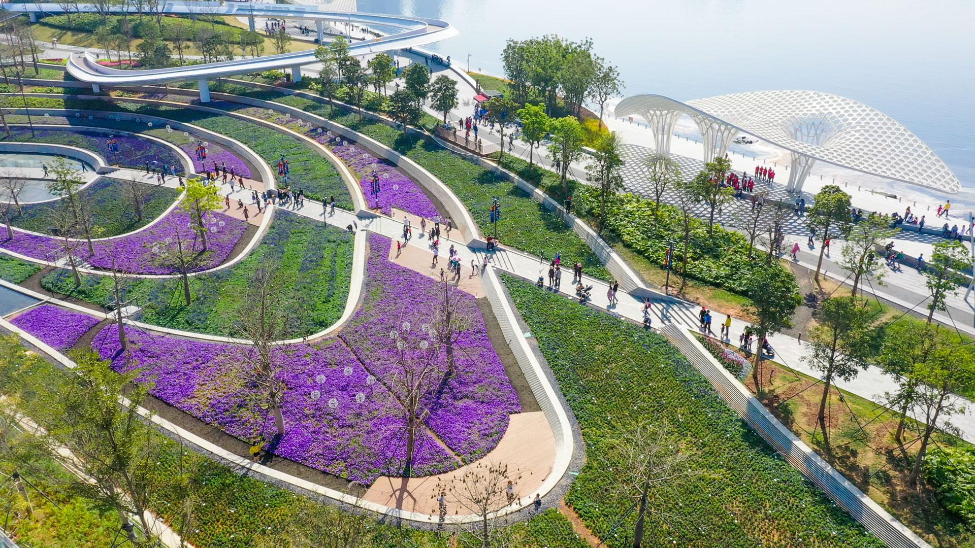 OCT Bao'an OH BAY - image 16