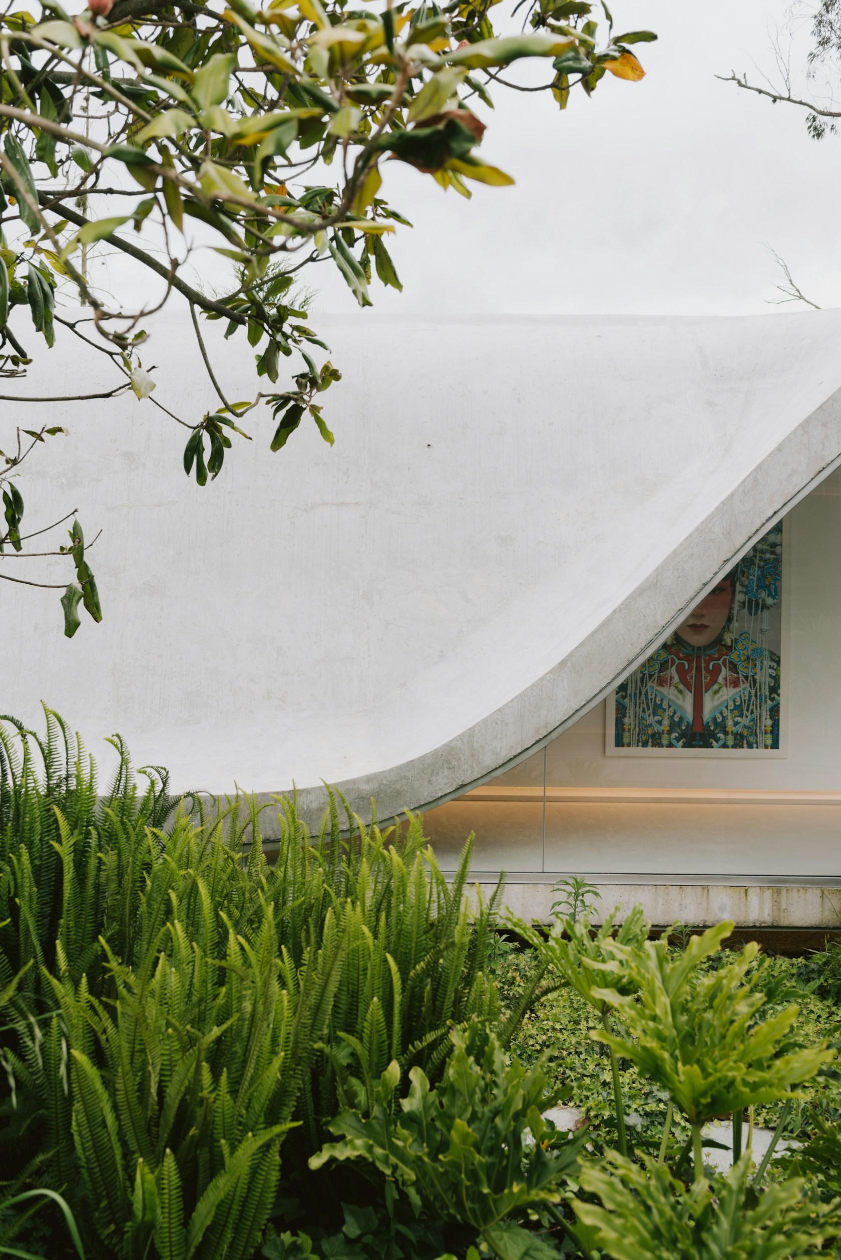 Magnolia House - image 5