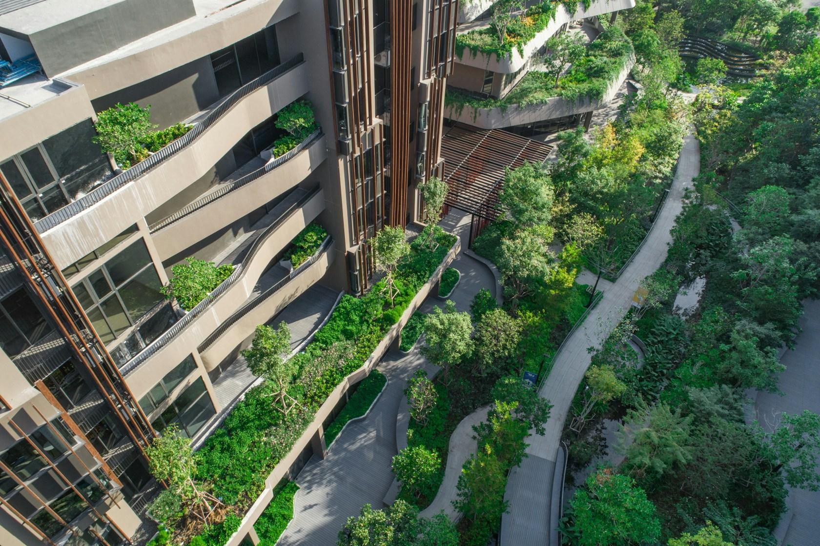 Jin Wellbeing County - image 2