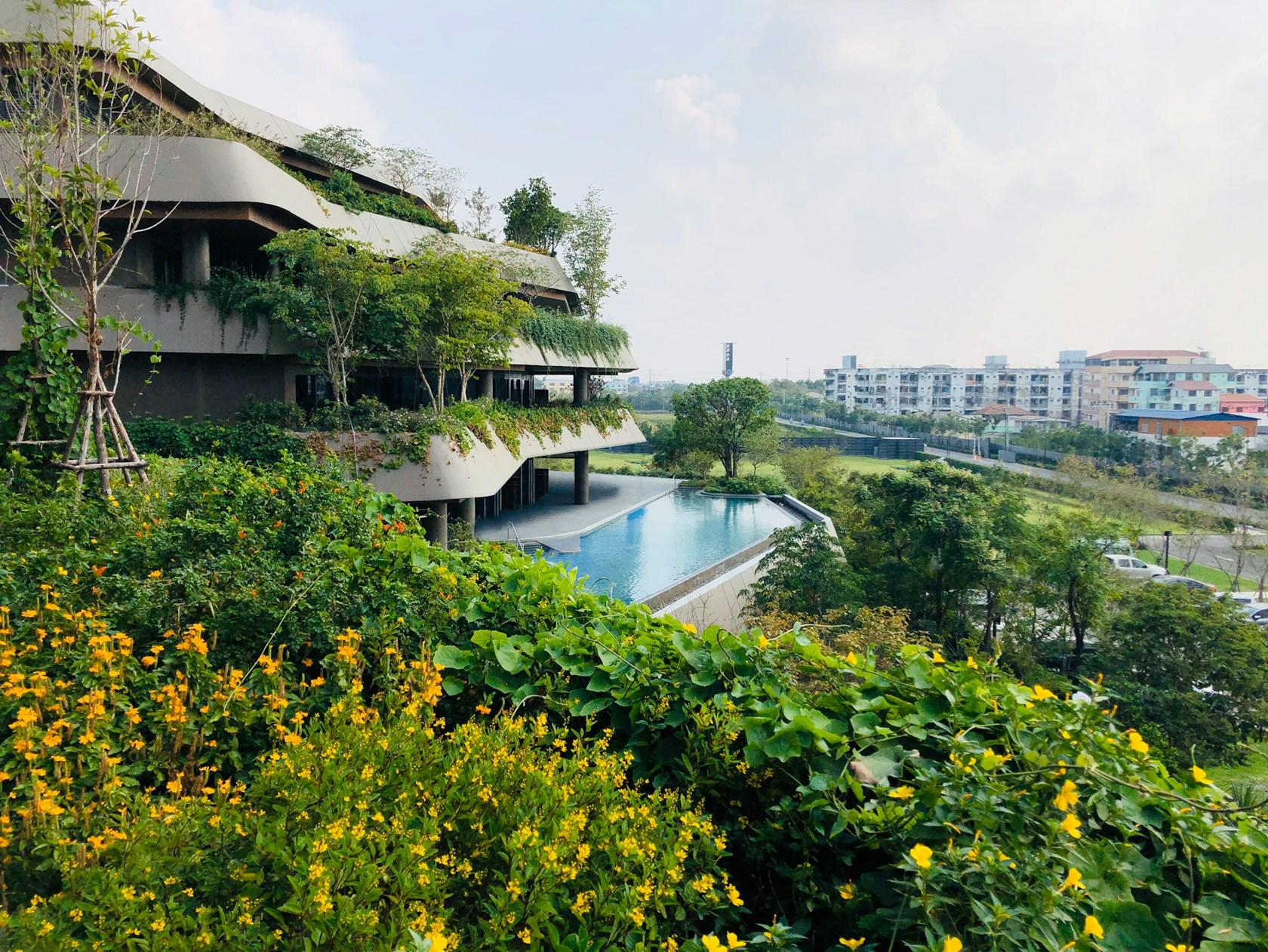 Jin Wellbeing County - image 4
