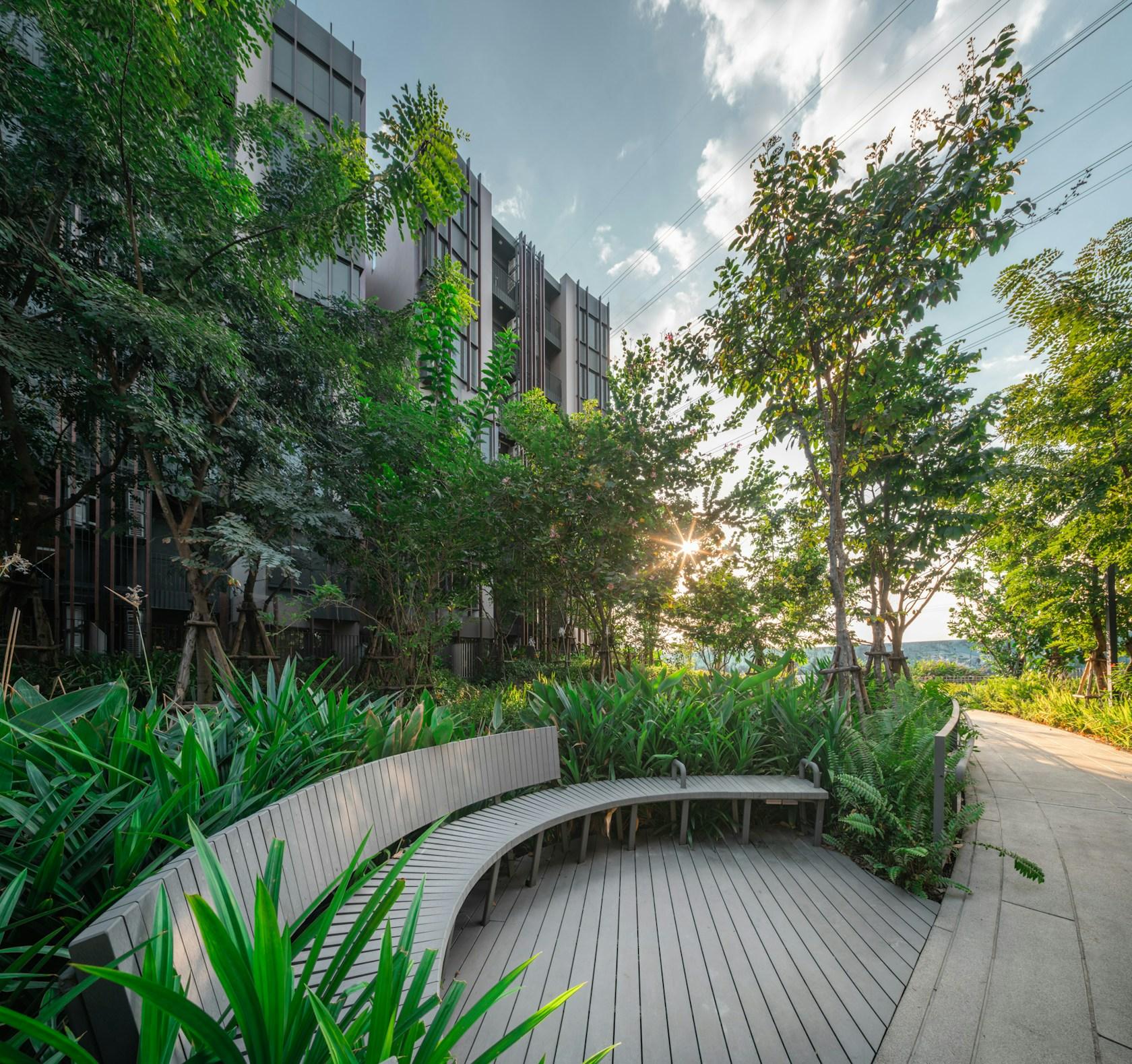 Jin Wellbeing County - image 7