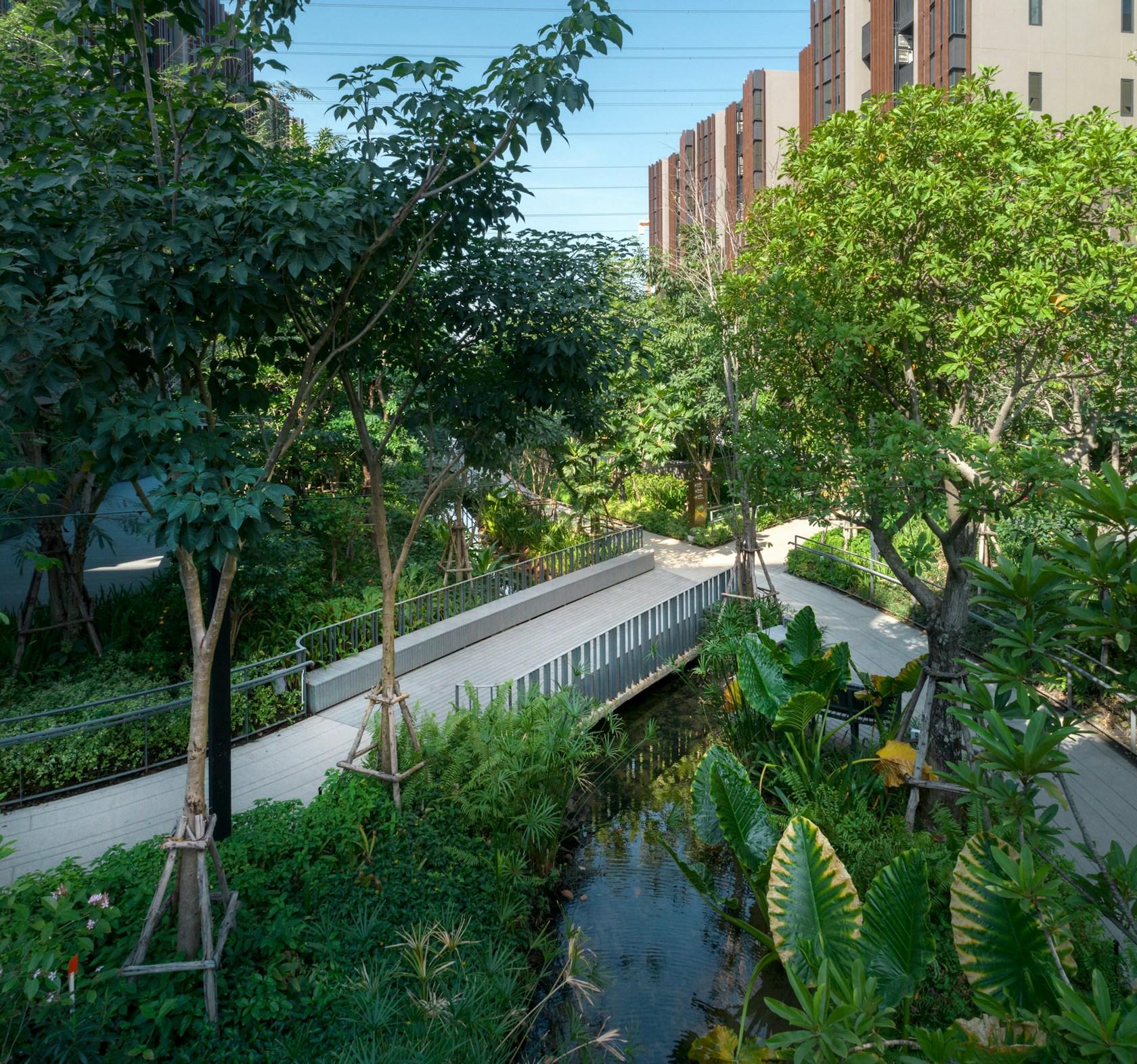 Jin Wellbeing County - image 8