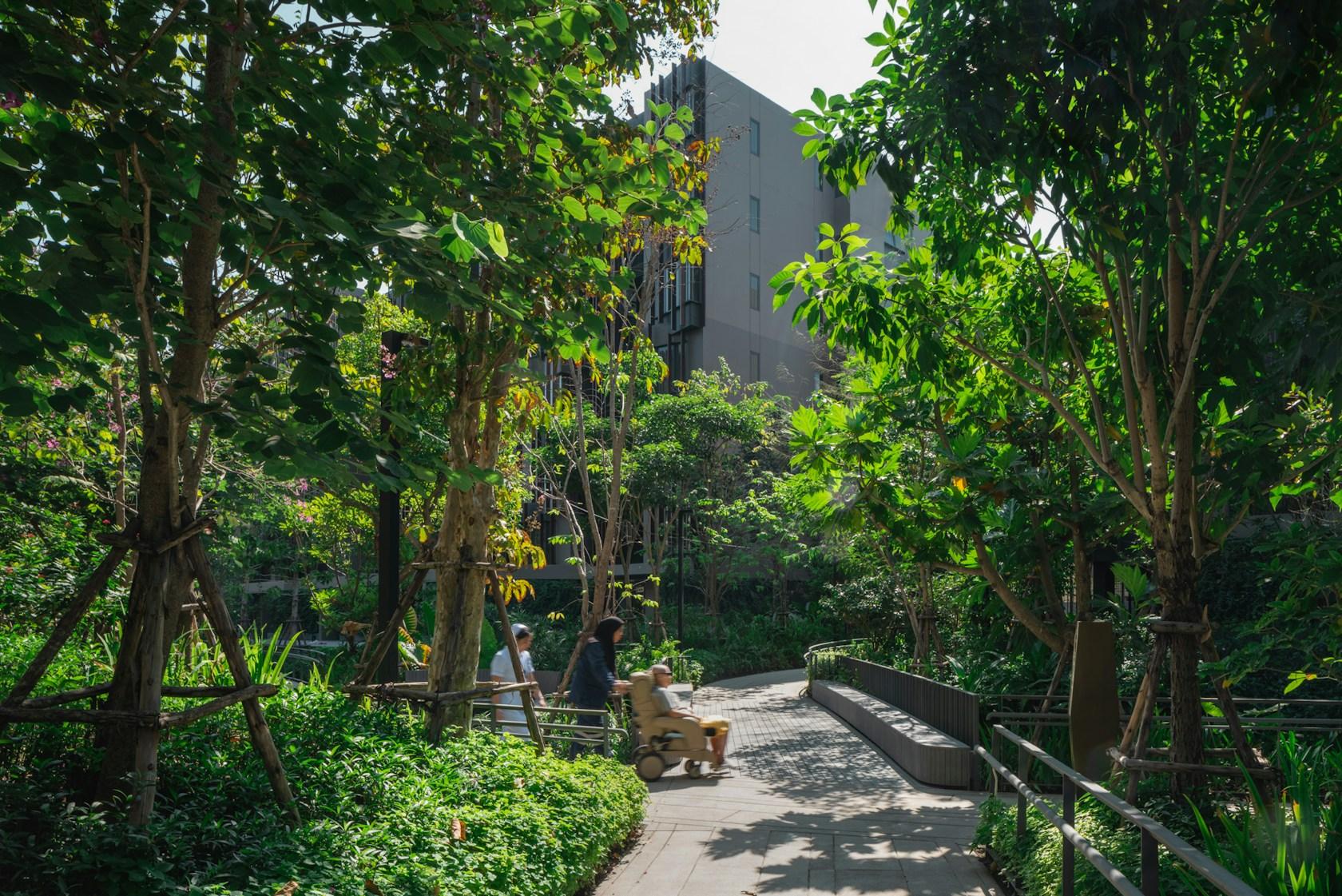 Jin Wellbeing County - image 9