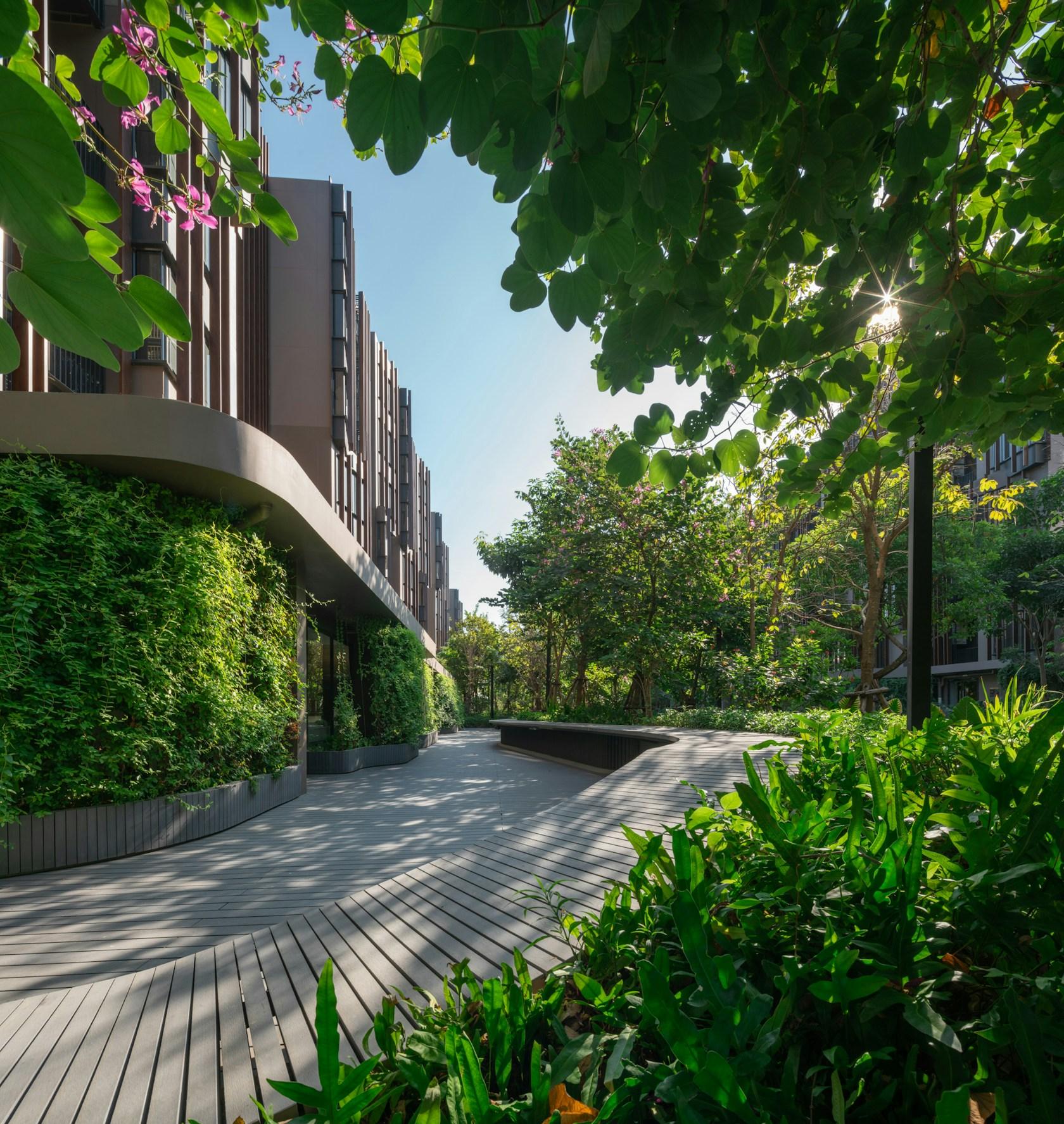 Jin Wellbeing County - image 10