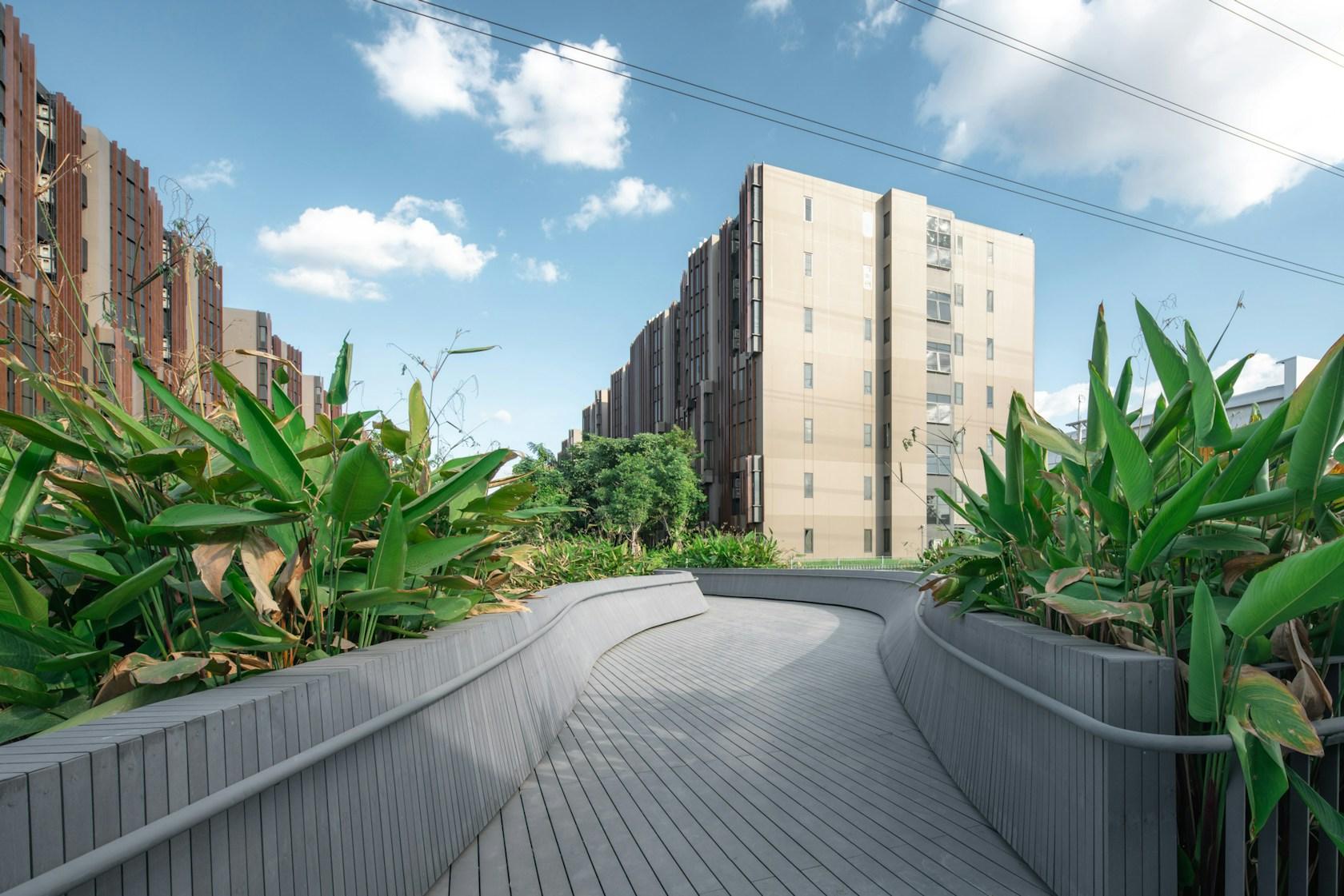 Jin Wellbeing County - image 15