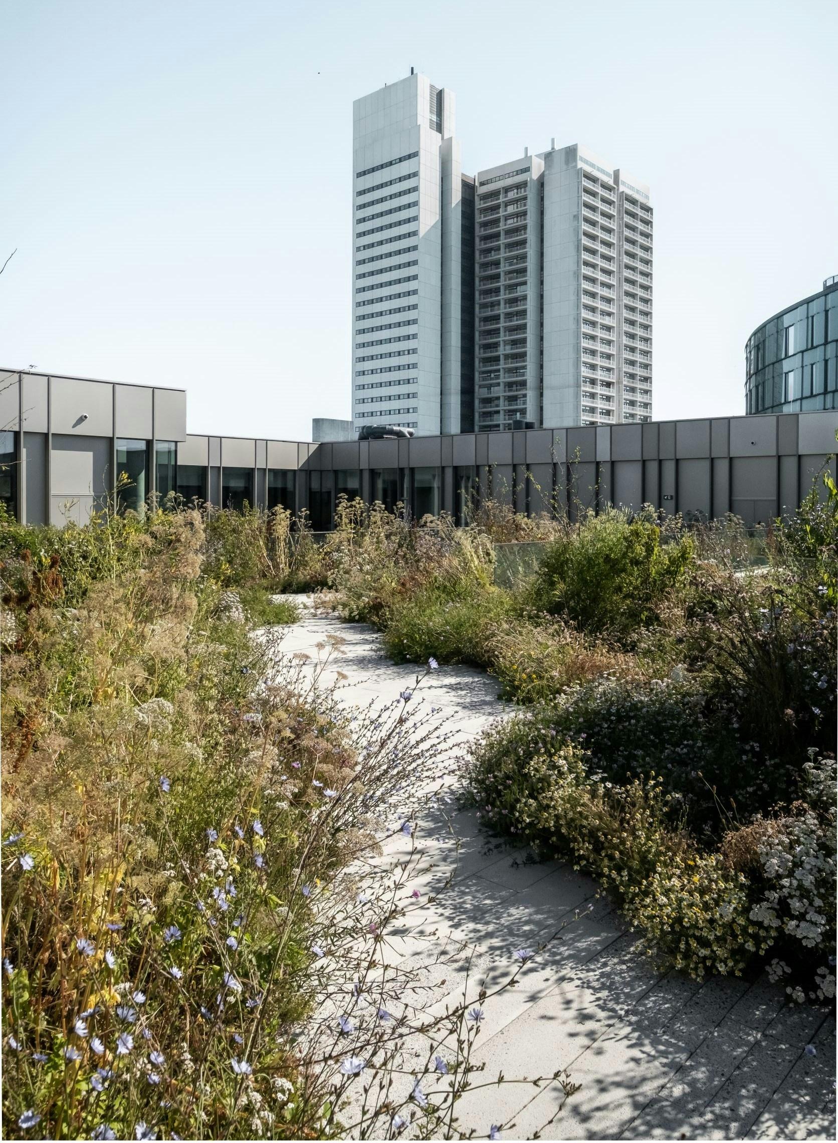 Steno Diabetes Center Copenhagen - image 25
