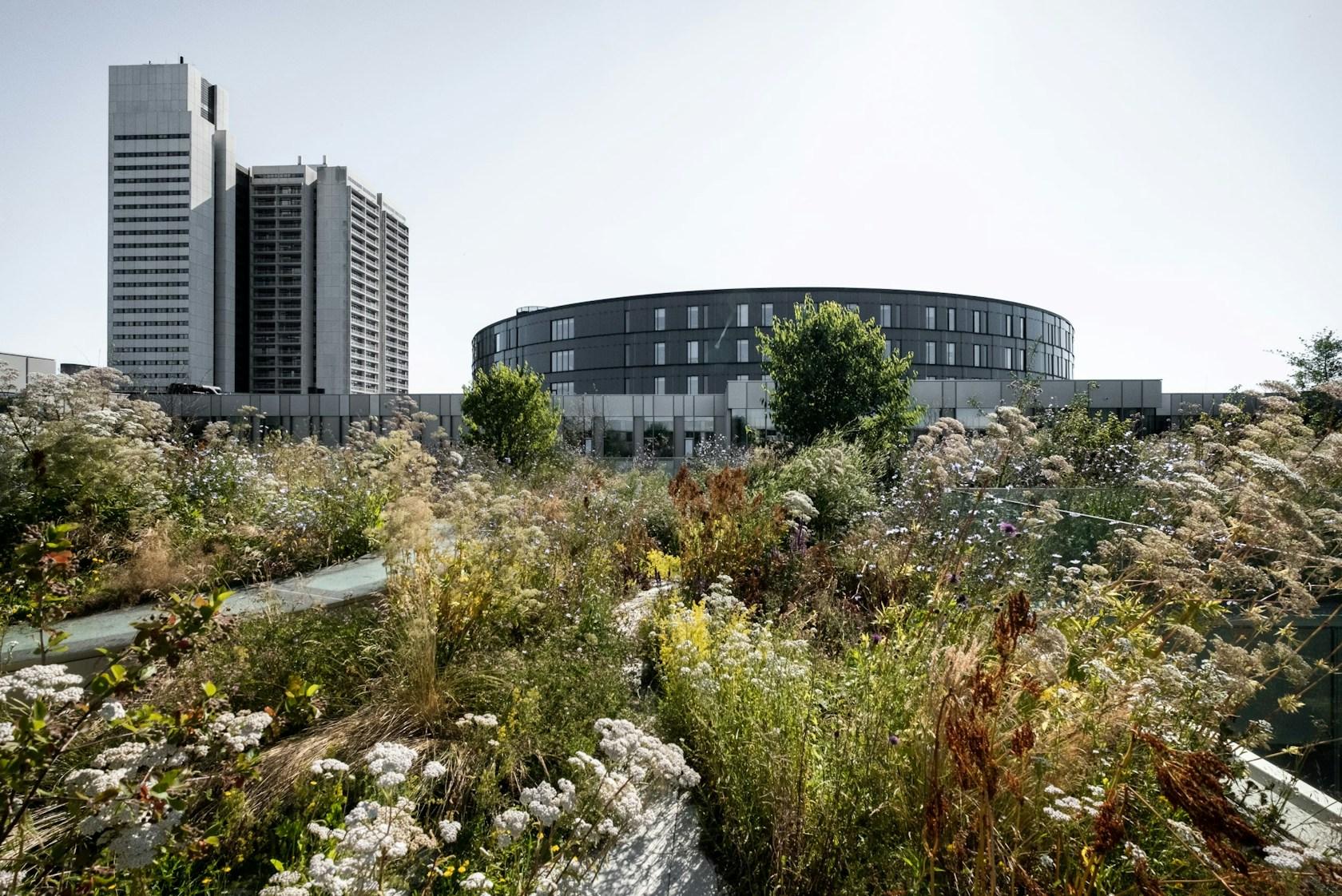 Steno Diabetes Center Copenhagen - image 27