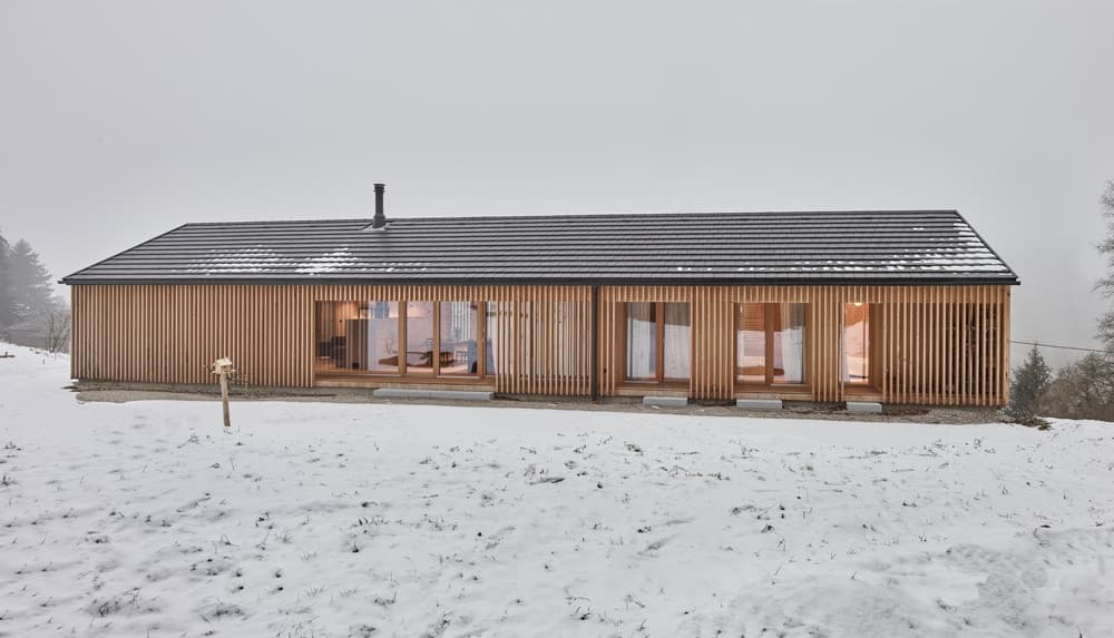 HOUSE AT THE OWL FOREST - image 3