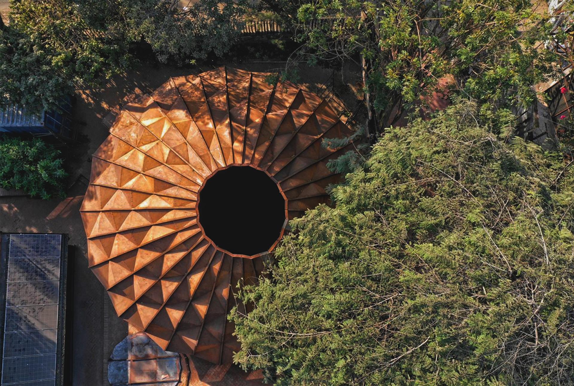 Darwin Bucky - image 11