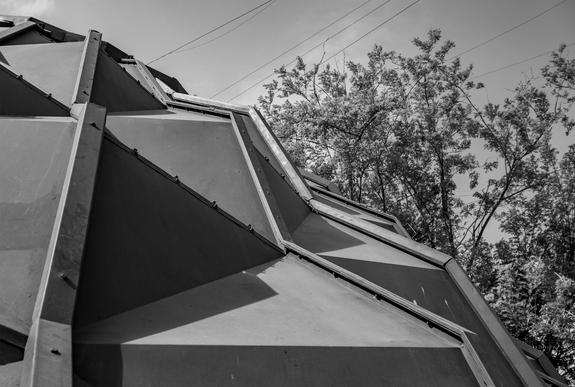 Darwin Bucky - image 12