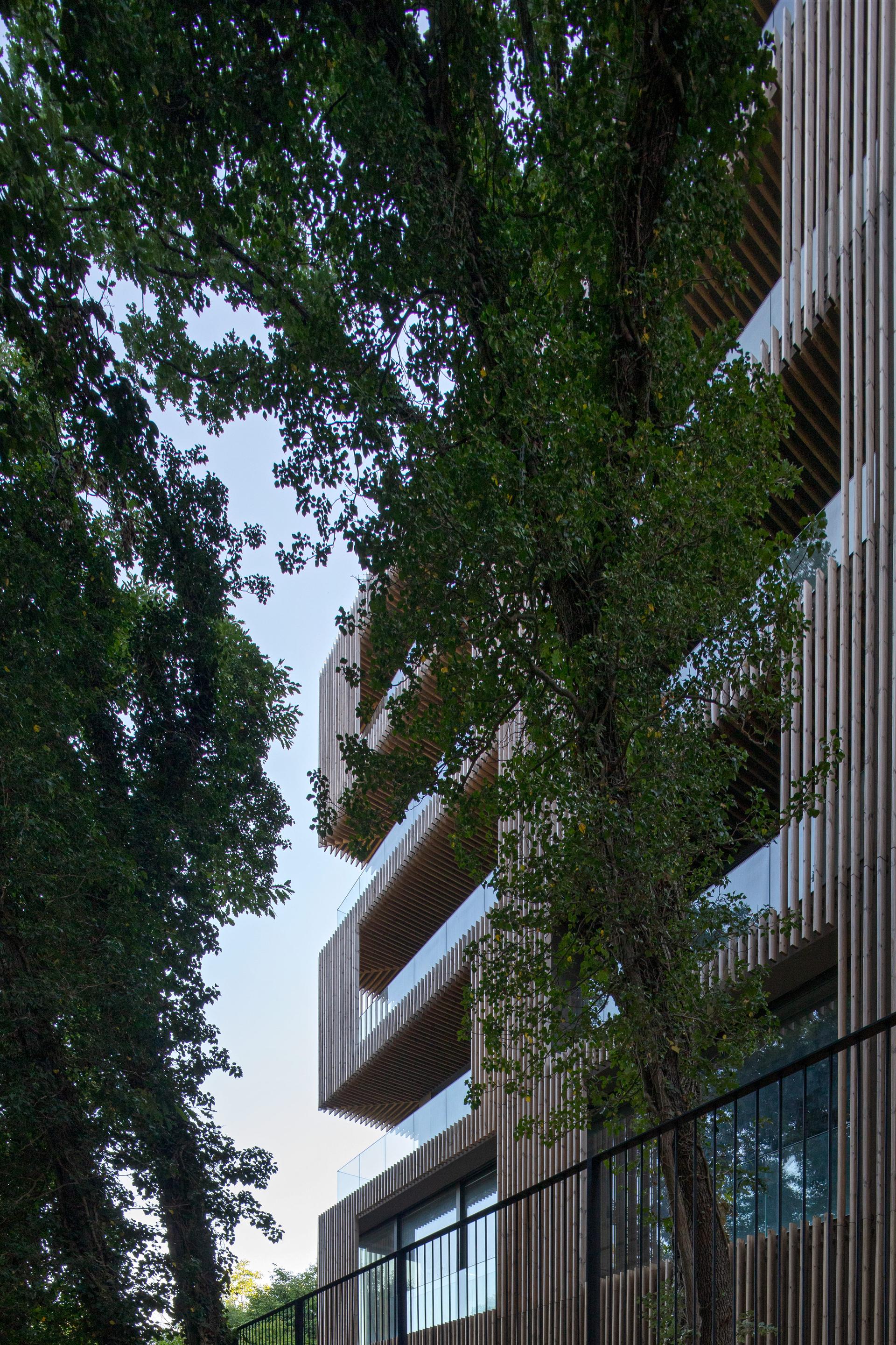 Umani Hotel - image 27