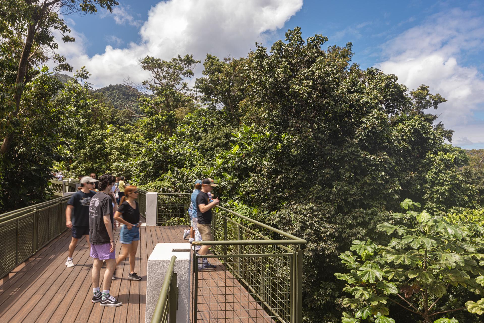 Revitalization of El Portal de El Yunque Visitors Center Building and Site - image 3