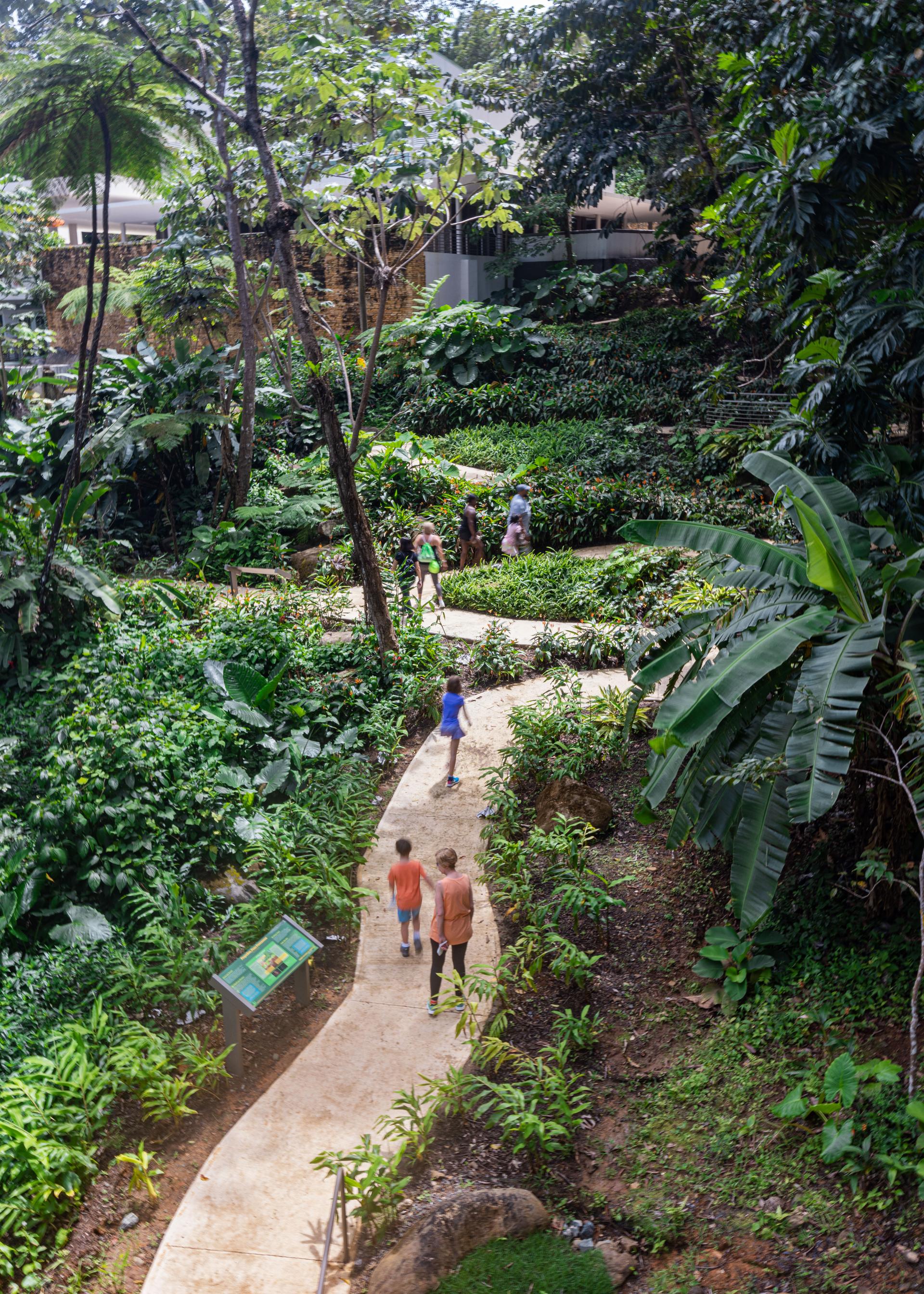 Revitalization of El Portal de El Yunque Visitors Center Building and Site - image 4