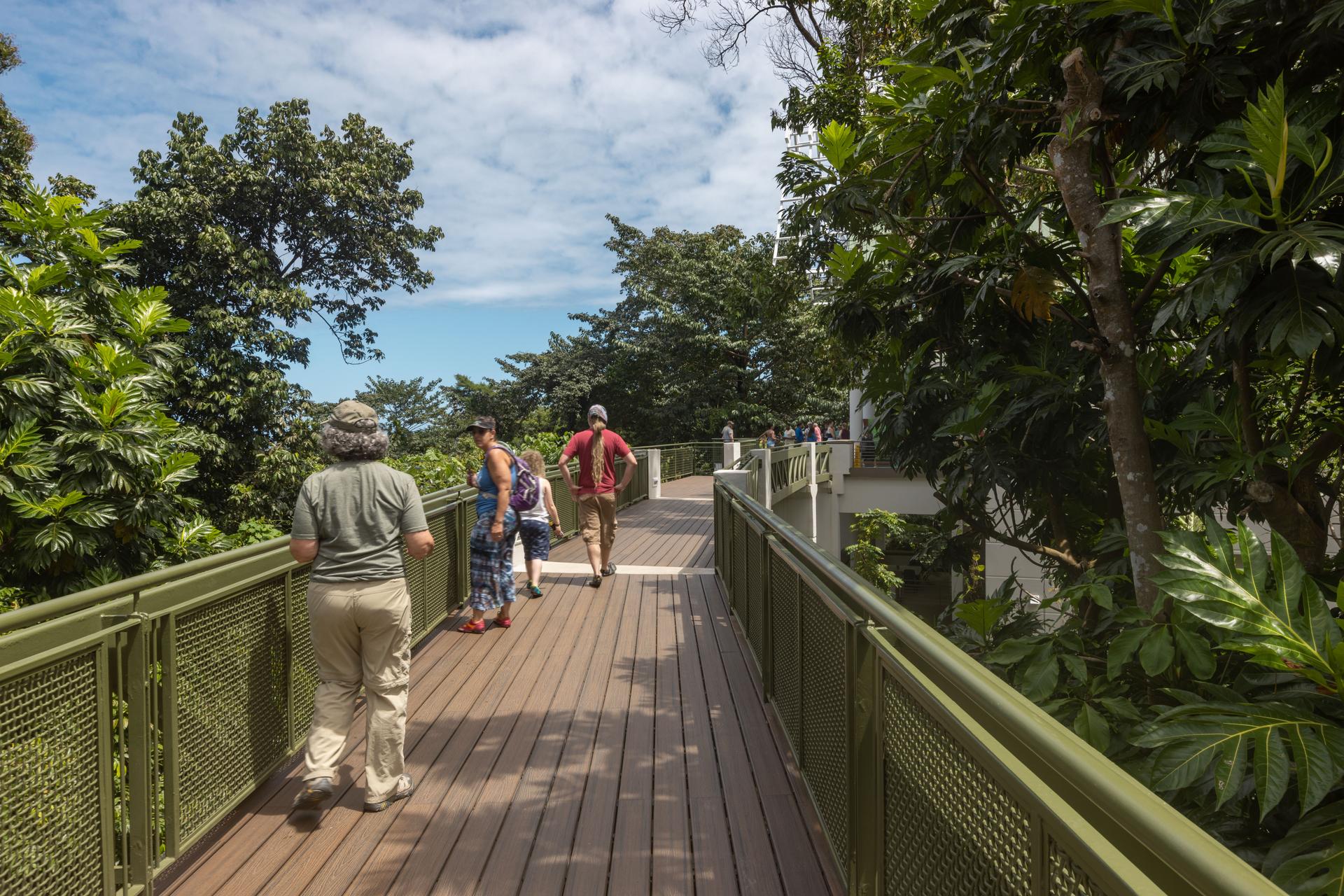 Revitalization of El Portal de El Yunque Visitors Center Building and Site - image 17