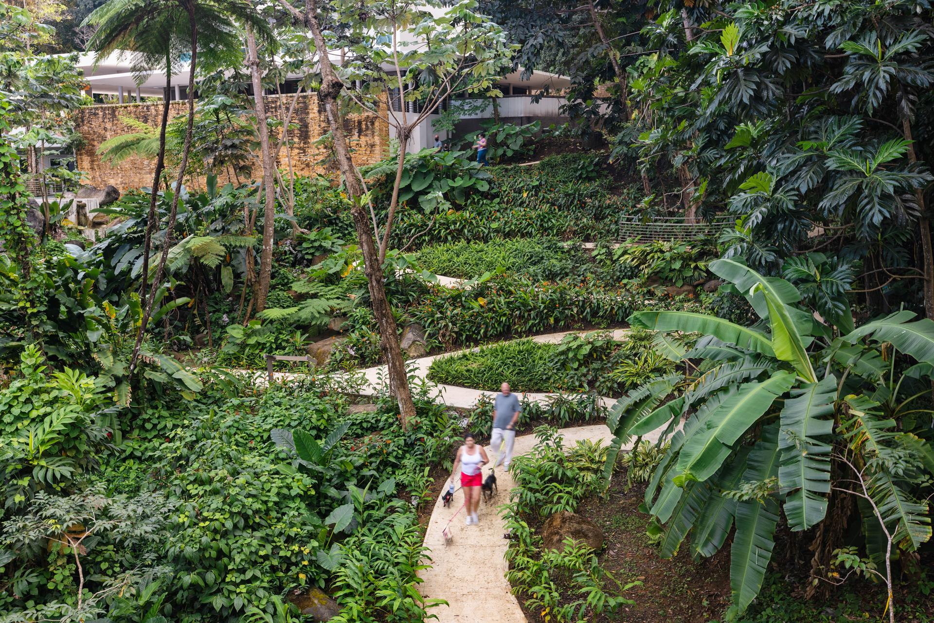 Revitalization of El Portal de El Yunque Visitors Center Building and Site - image 9