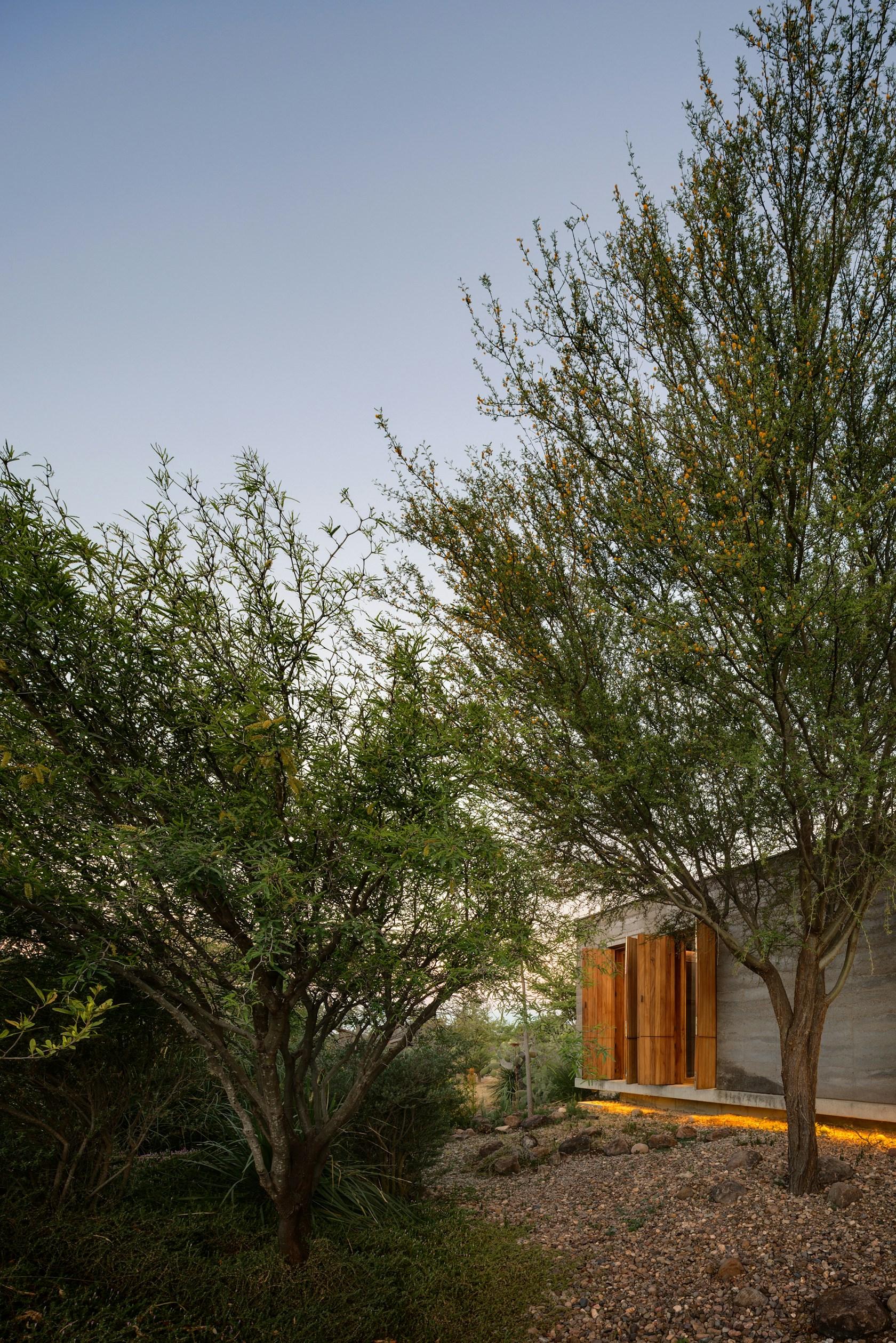Guesthouse Casa Candelaria - image 8