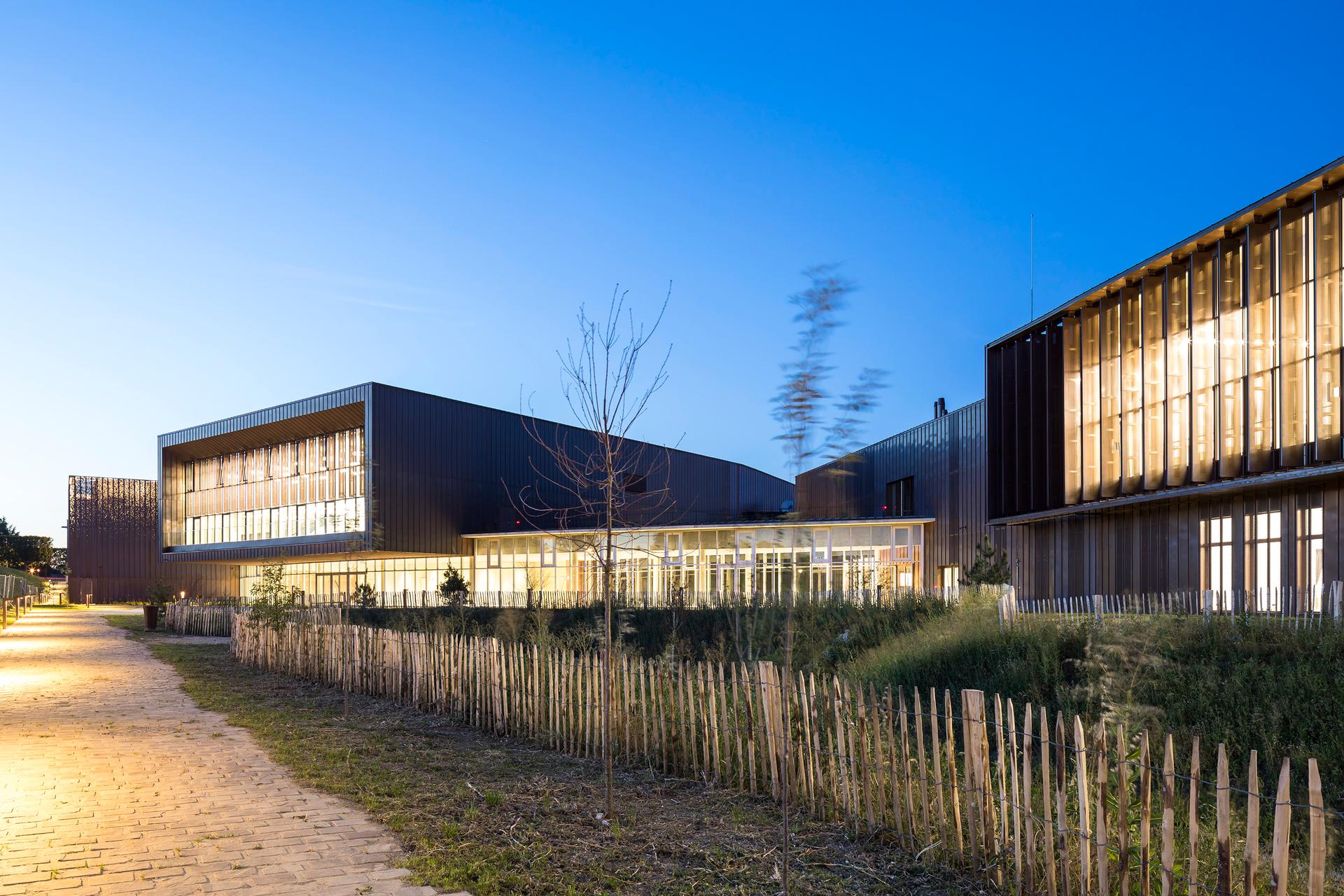 Angela Davis school - image 14