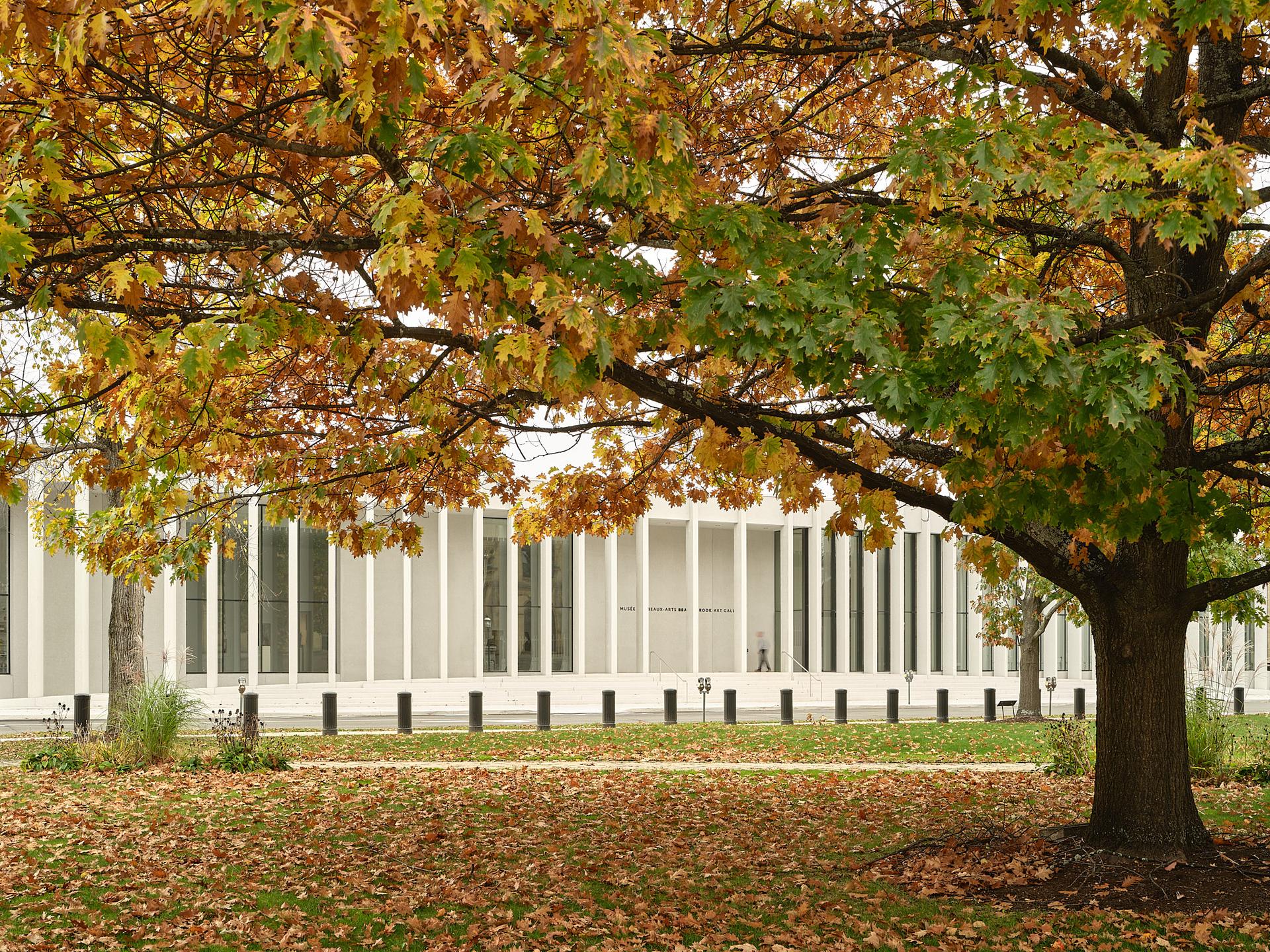 Beaverbrook Art Gallery (Harrison McCain Pavilion) - image 9
