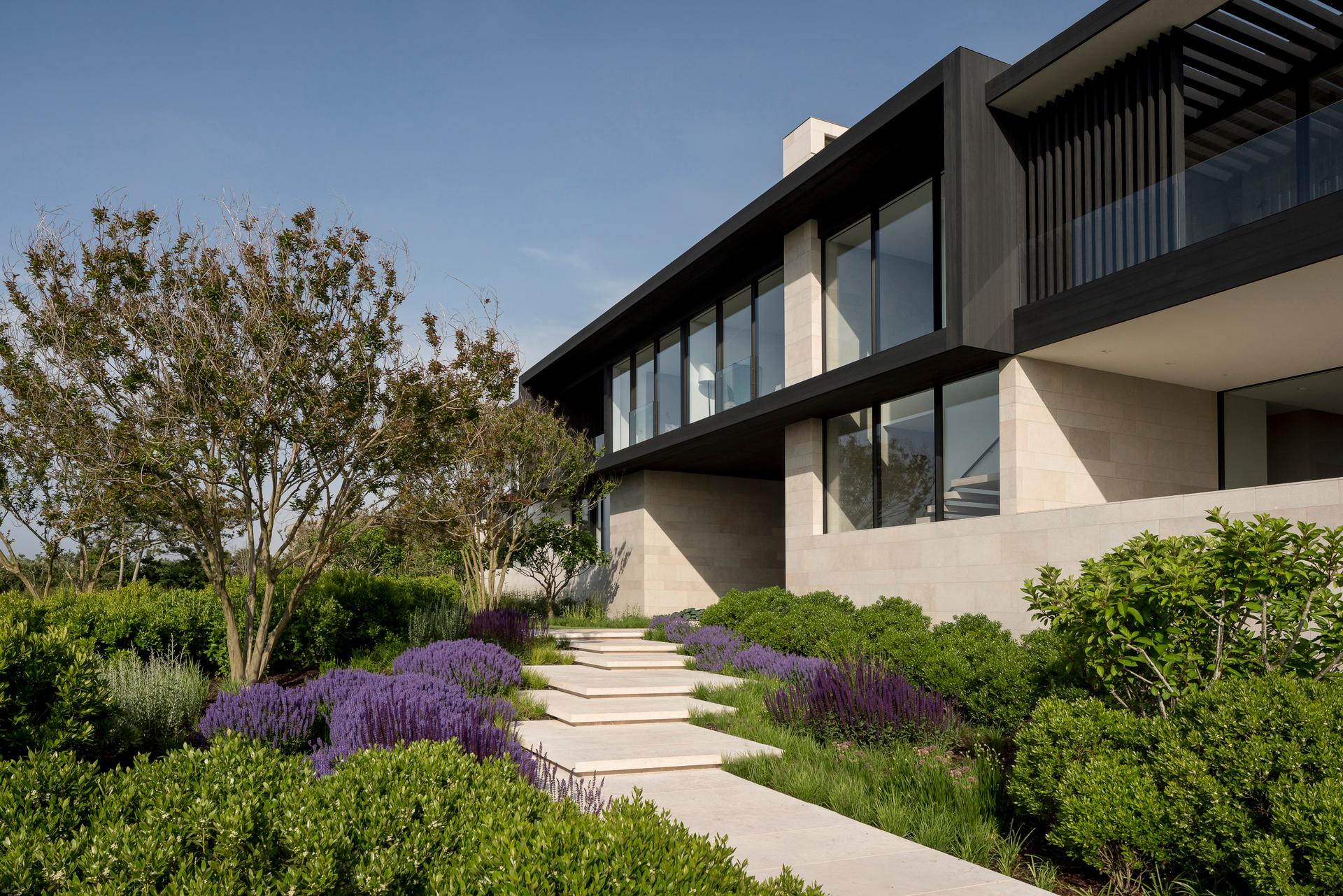 Dune Meadow - image 4