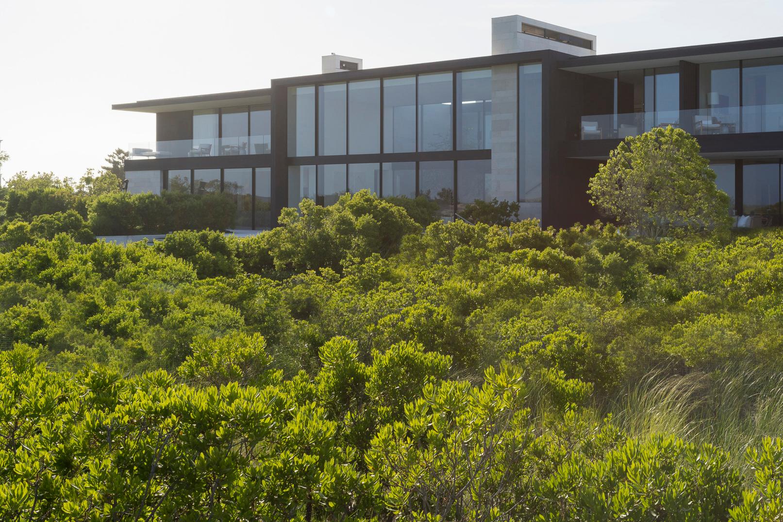Dune Meadow - image 8