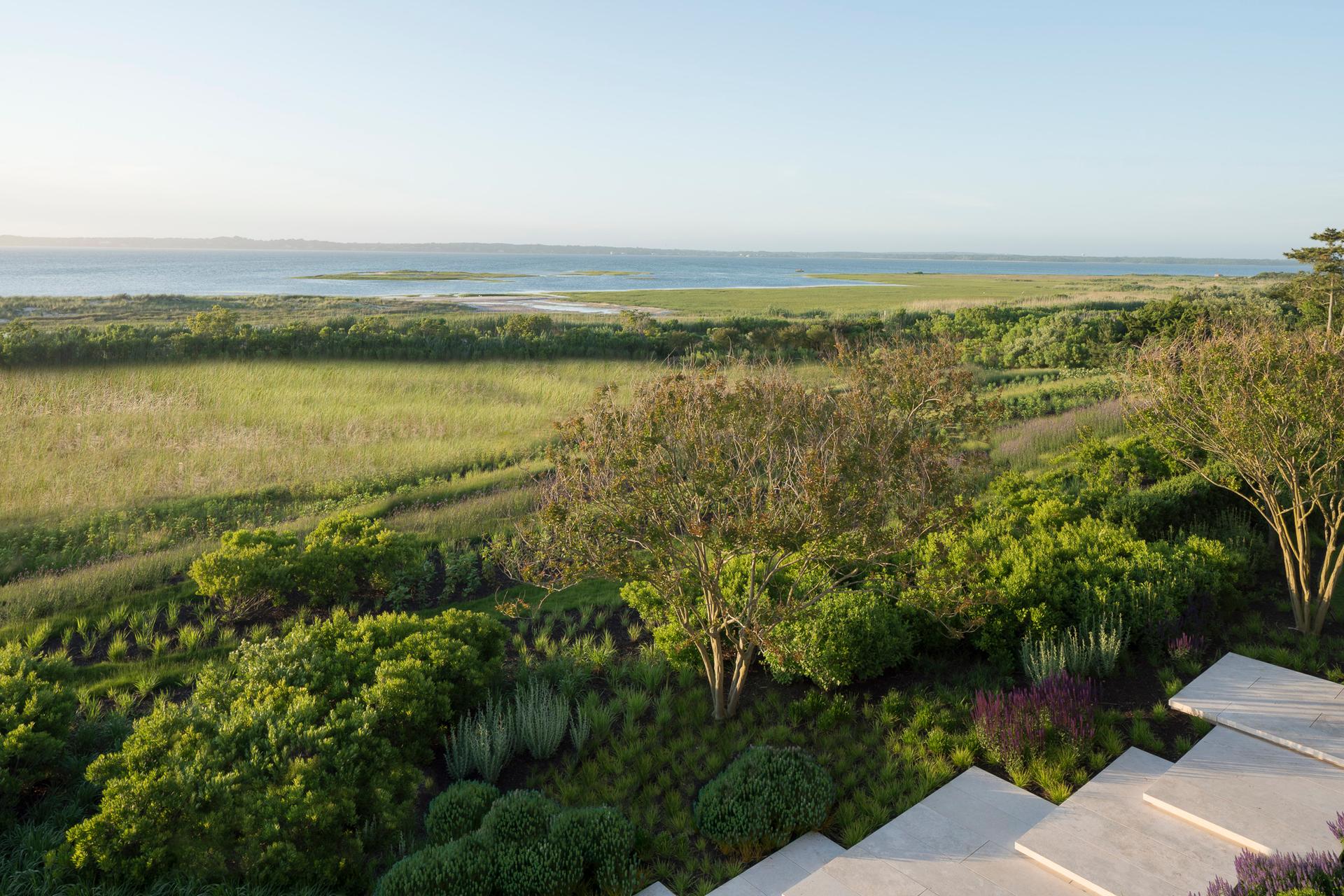 Dune Meadow - image 7