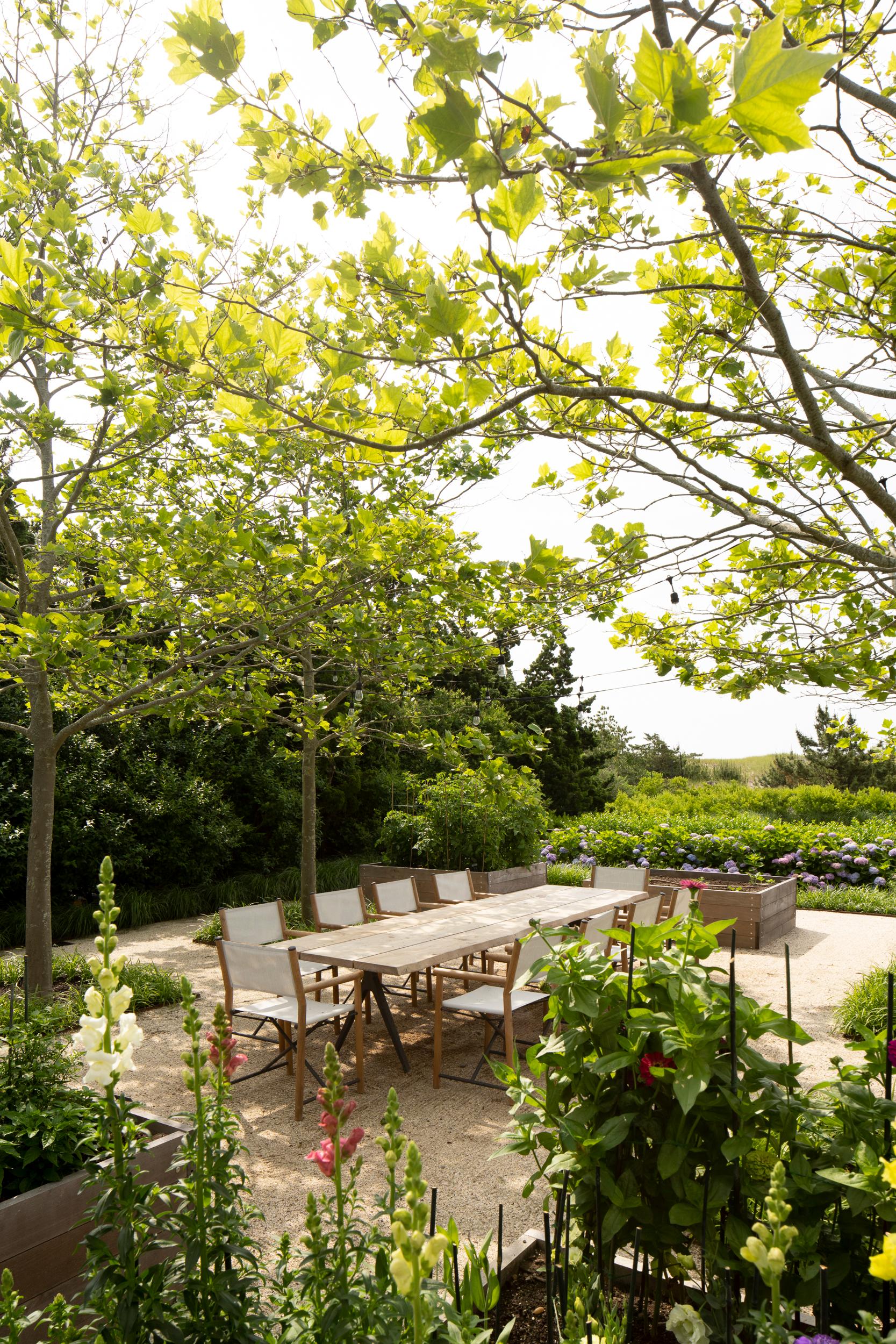 Dune Meadow - image 11
