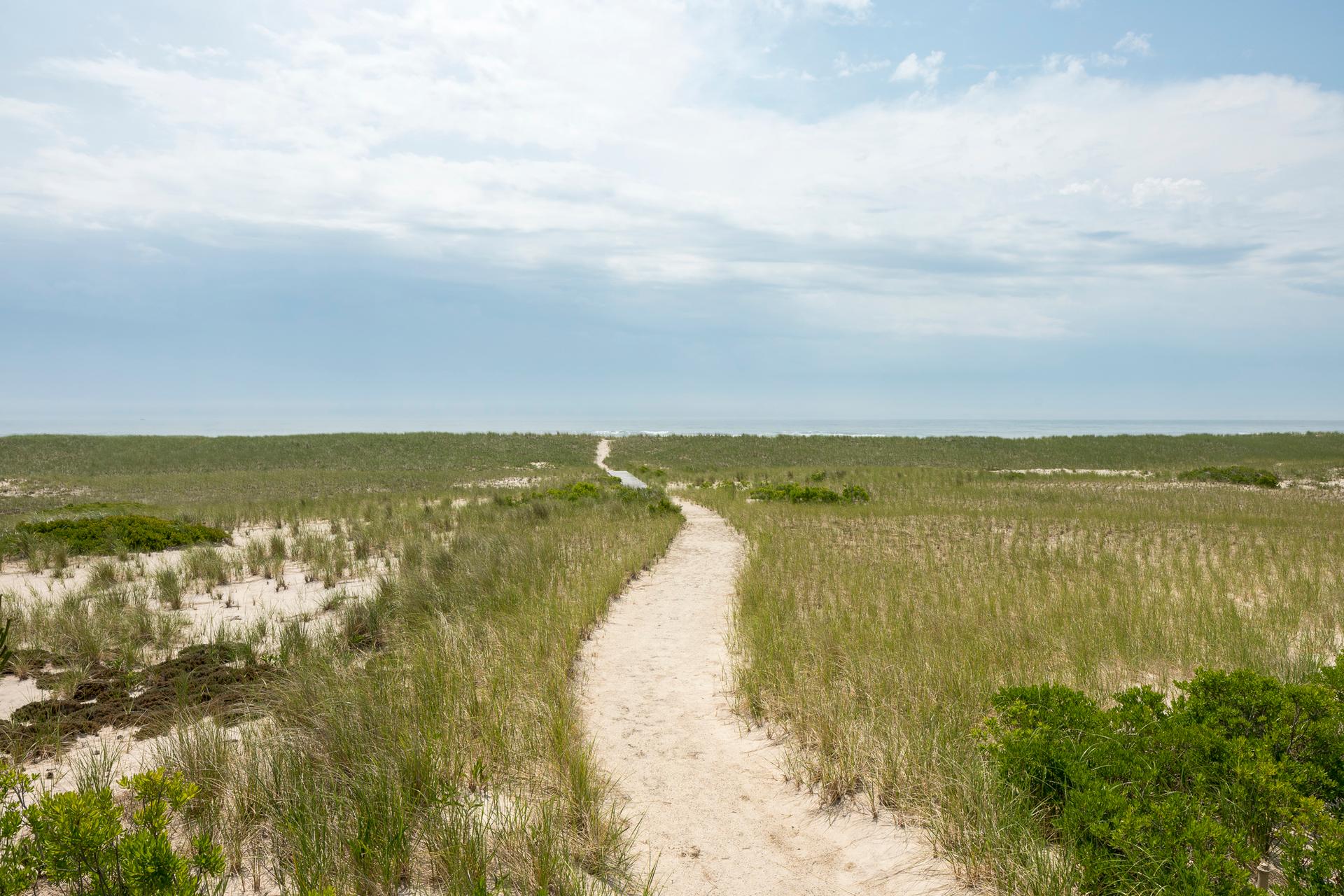Dune Meadow - image 14
