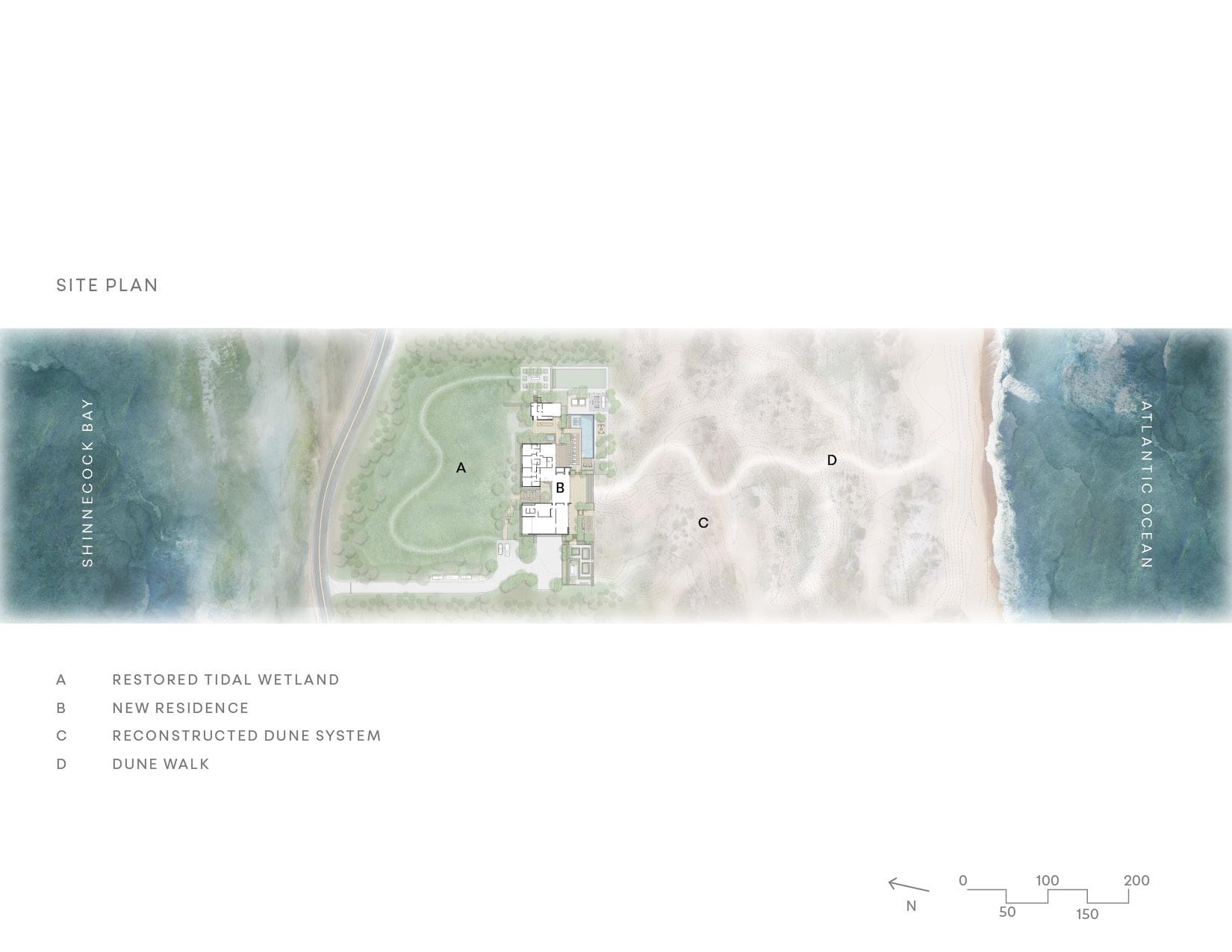Dune Meadow - image 2