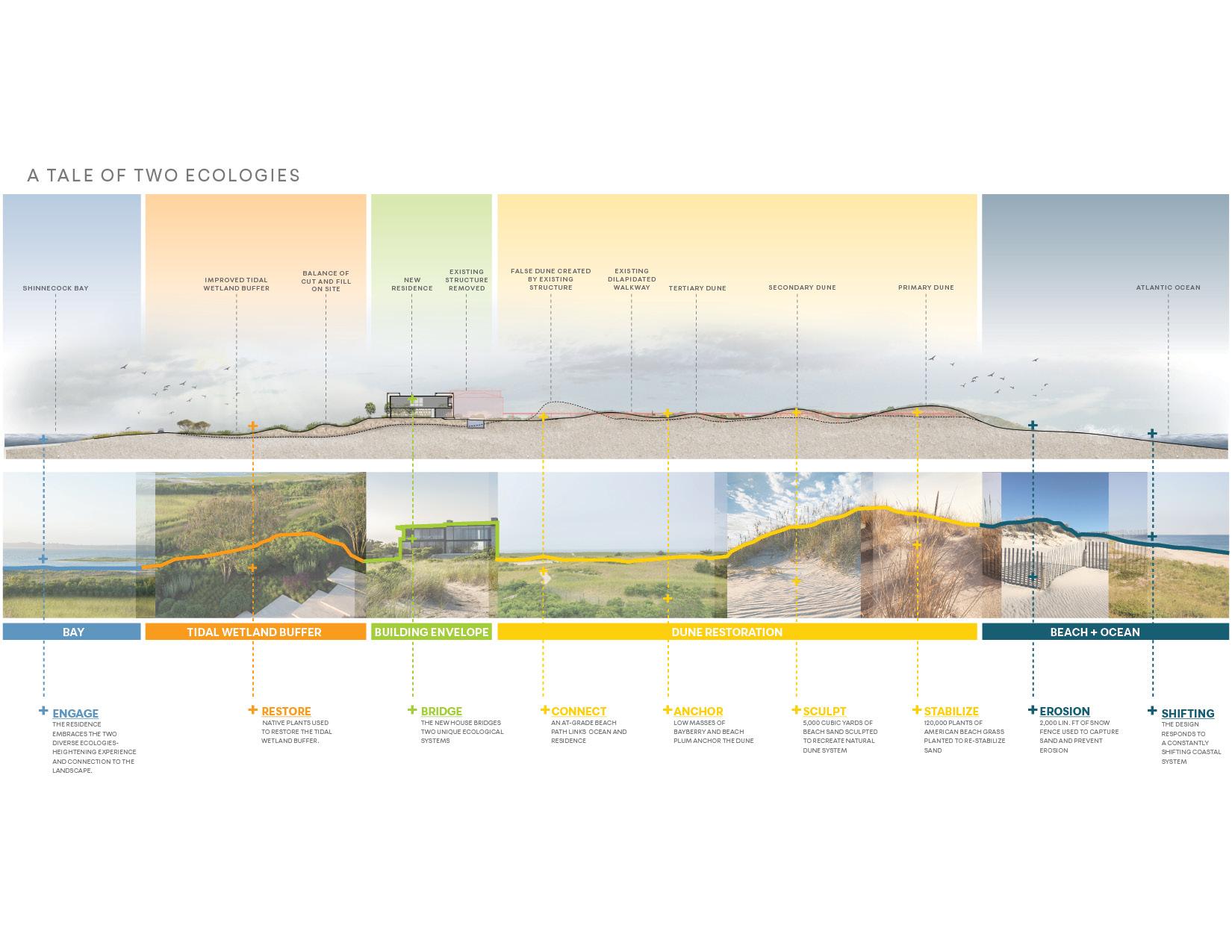 Dune Meadow - image 3
