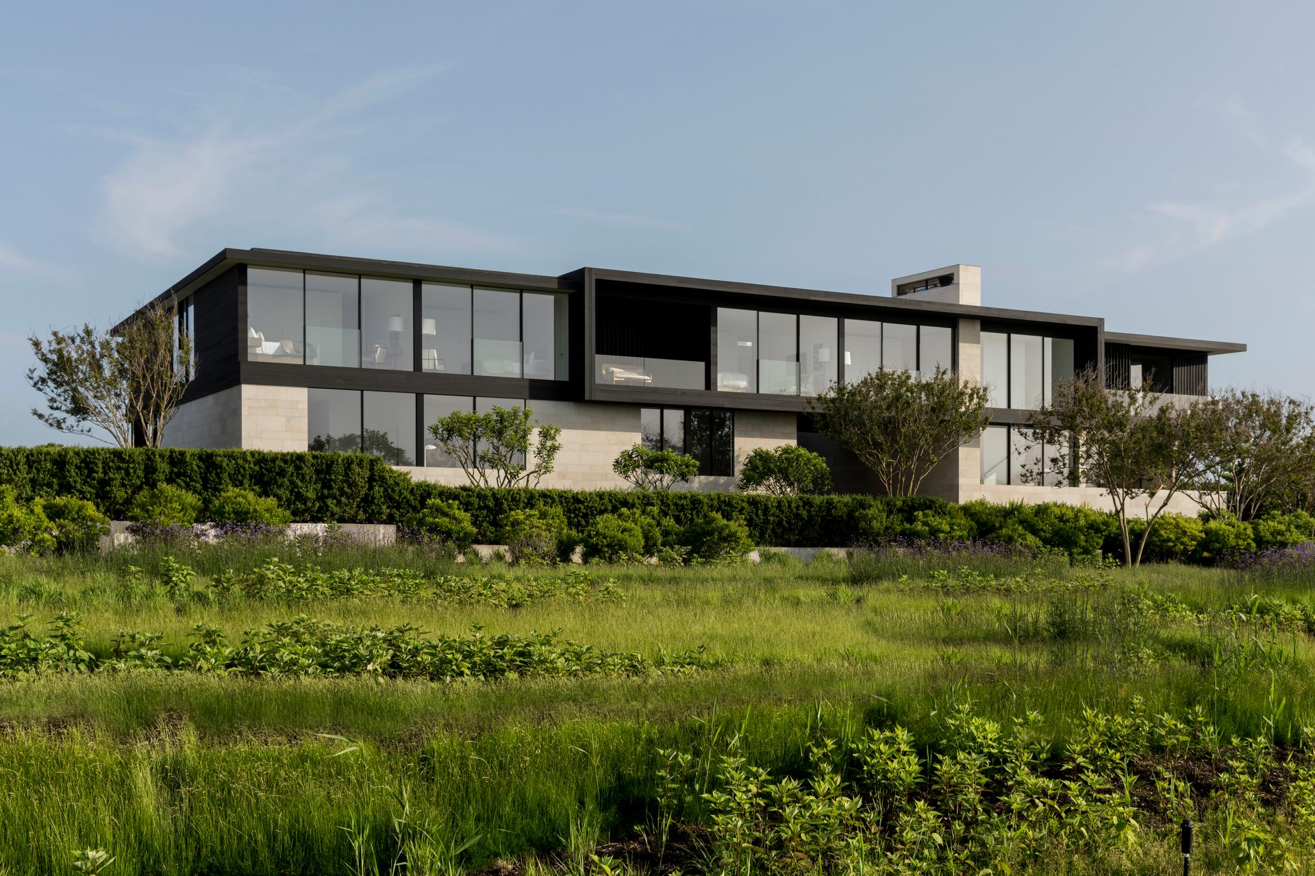 Dune Meadow - image 9