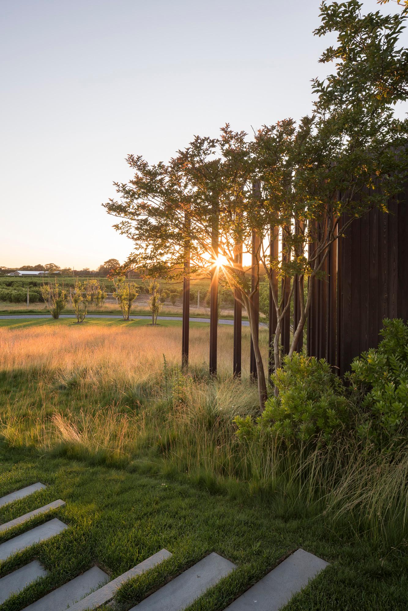 Jule Pond - image 7