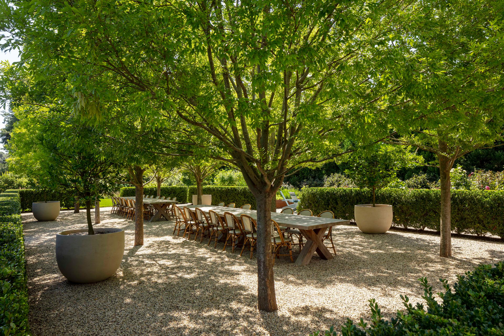 Cove Hollow Farm - image 13