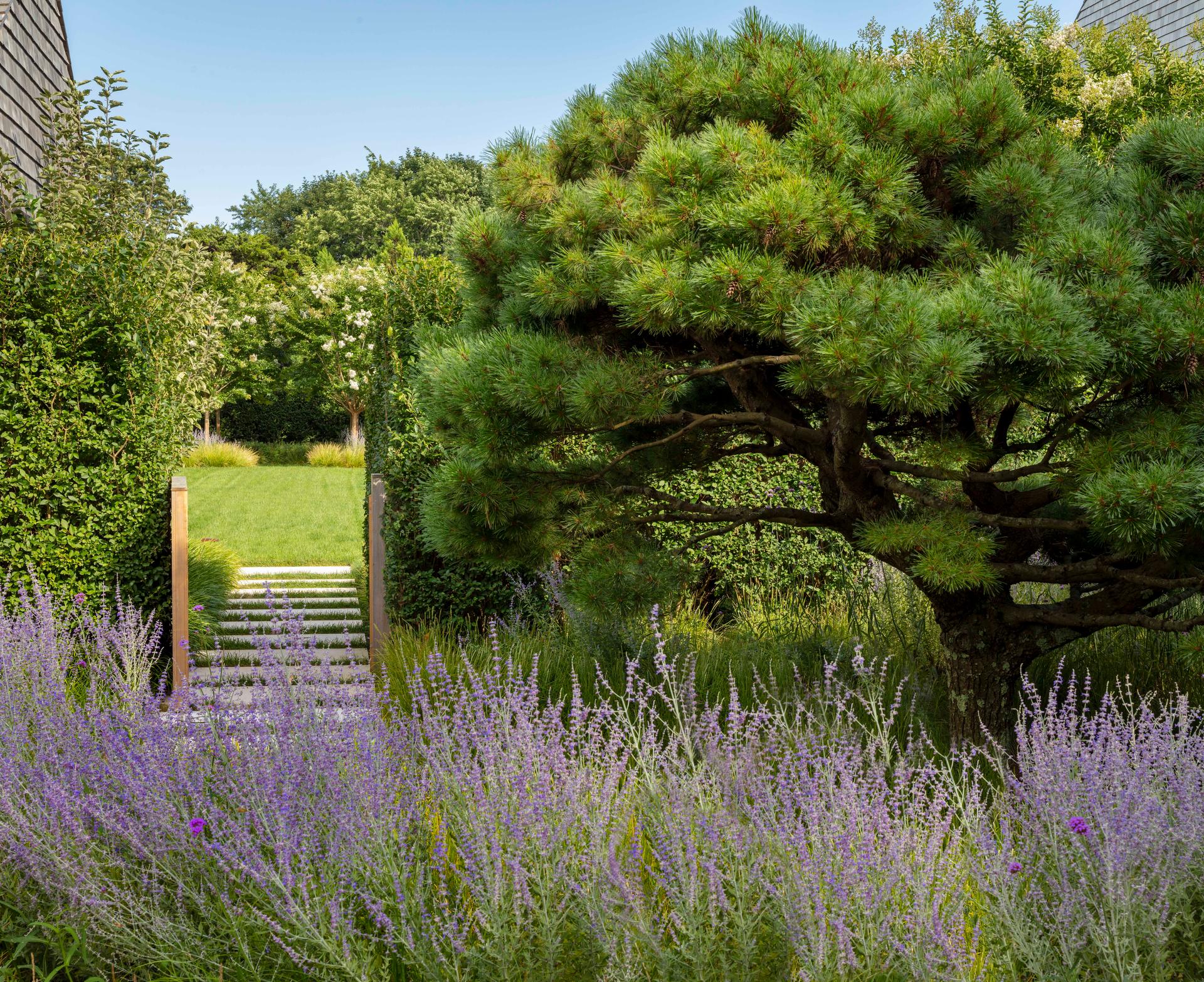 Cove Hollow Farm - image 12